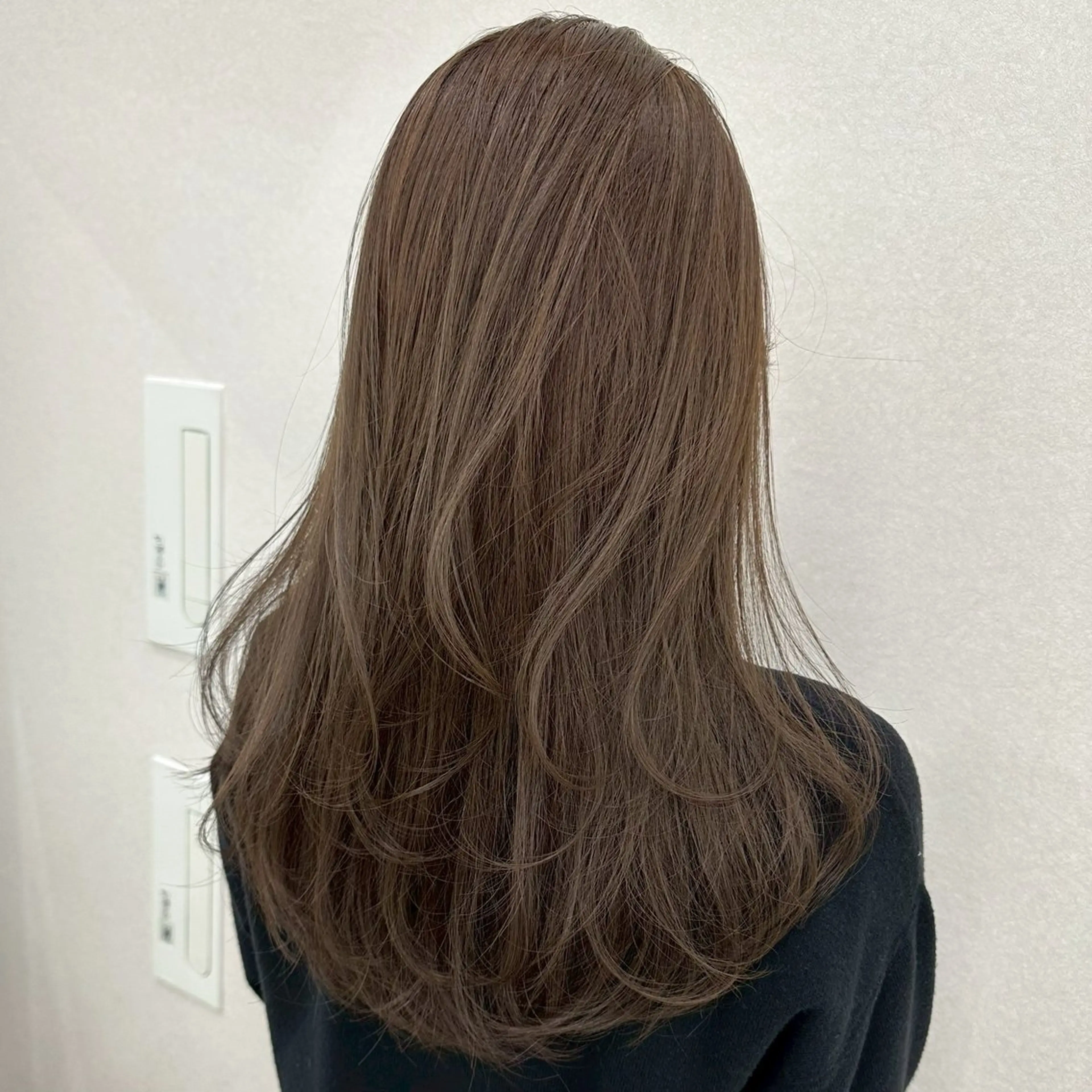 ワンカラーの写真