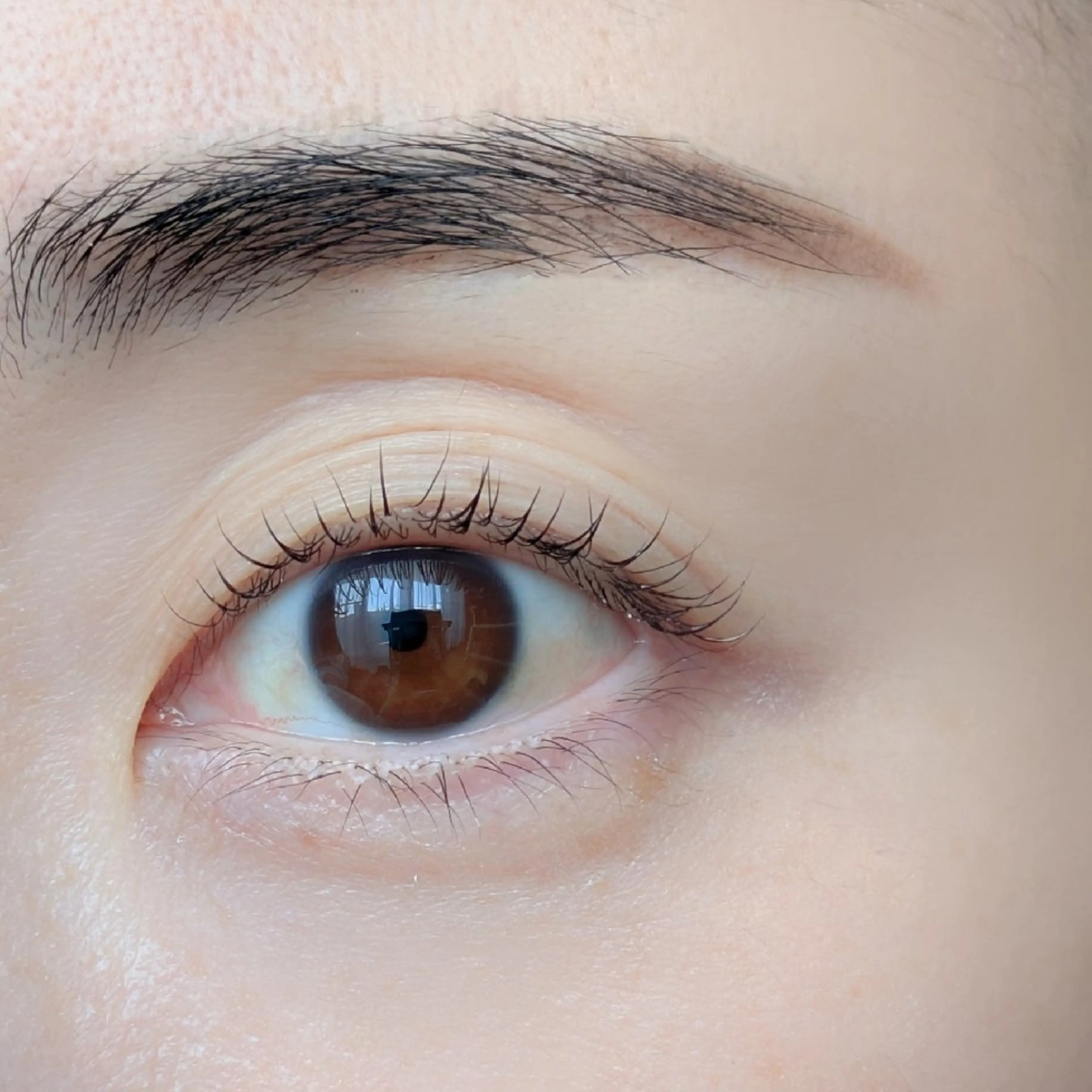 マツエク・マツパ ナチュラル HBL＆まつ毛パーマ  pono’iAYAの眉毛・アイブロウイメージ