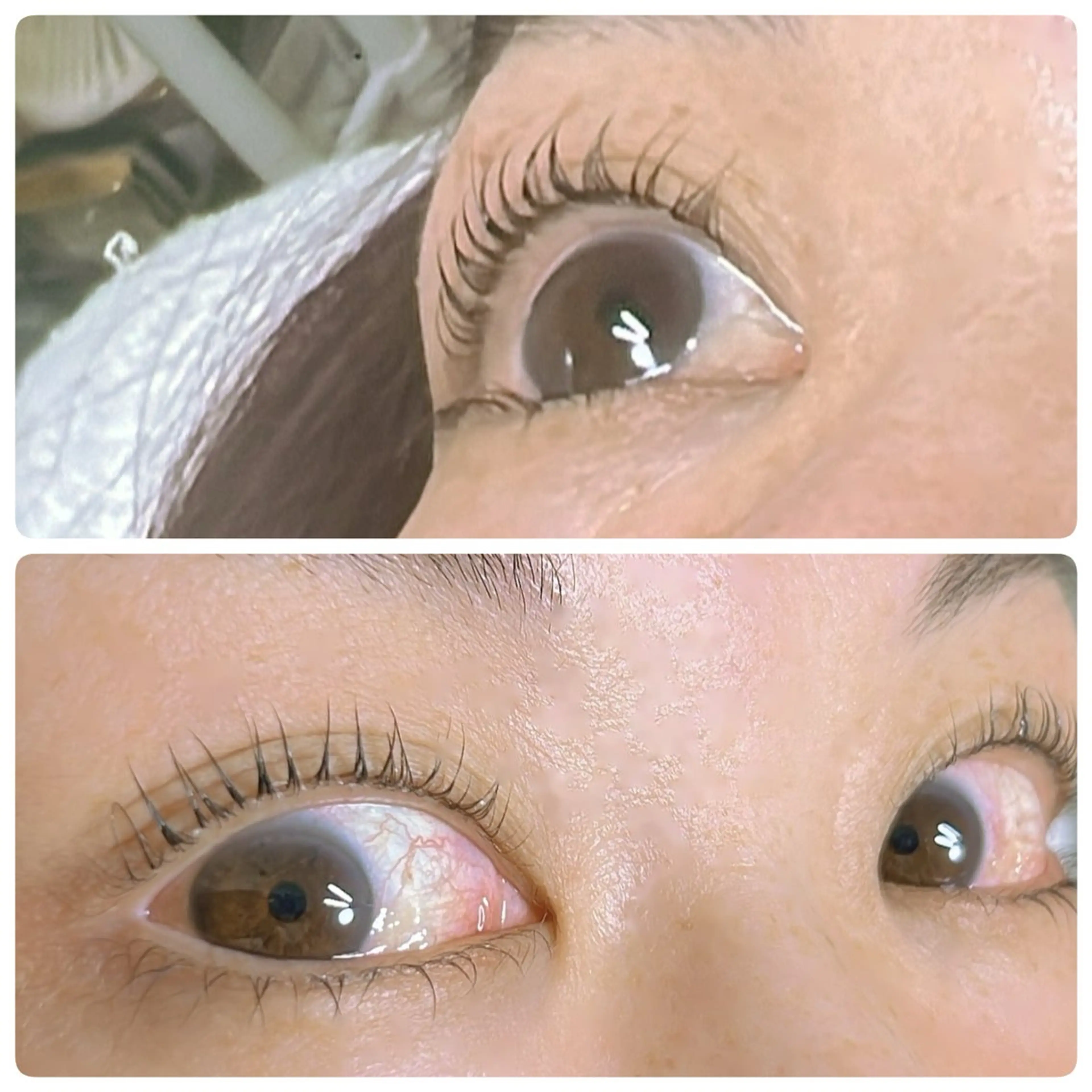 マツエク・マツパ まつげパーマ 下まつげエクステ eyelash💕 naoのマツエク・マツパデザイン