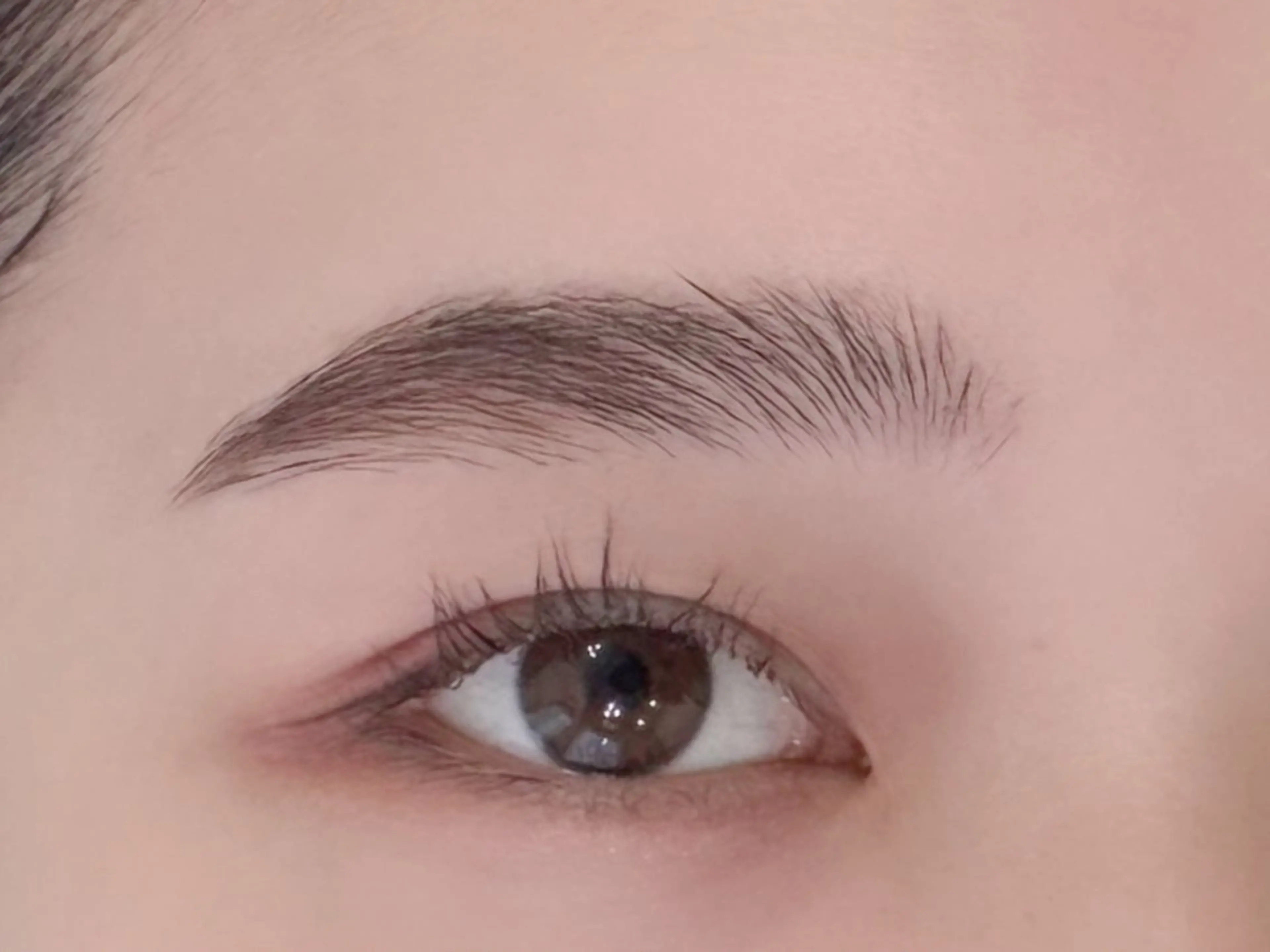 アイブロウ ワックス脱毛 その他(アイブロウ) 美眉/facewax 🕊️🫧Mのその他イメージ