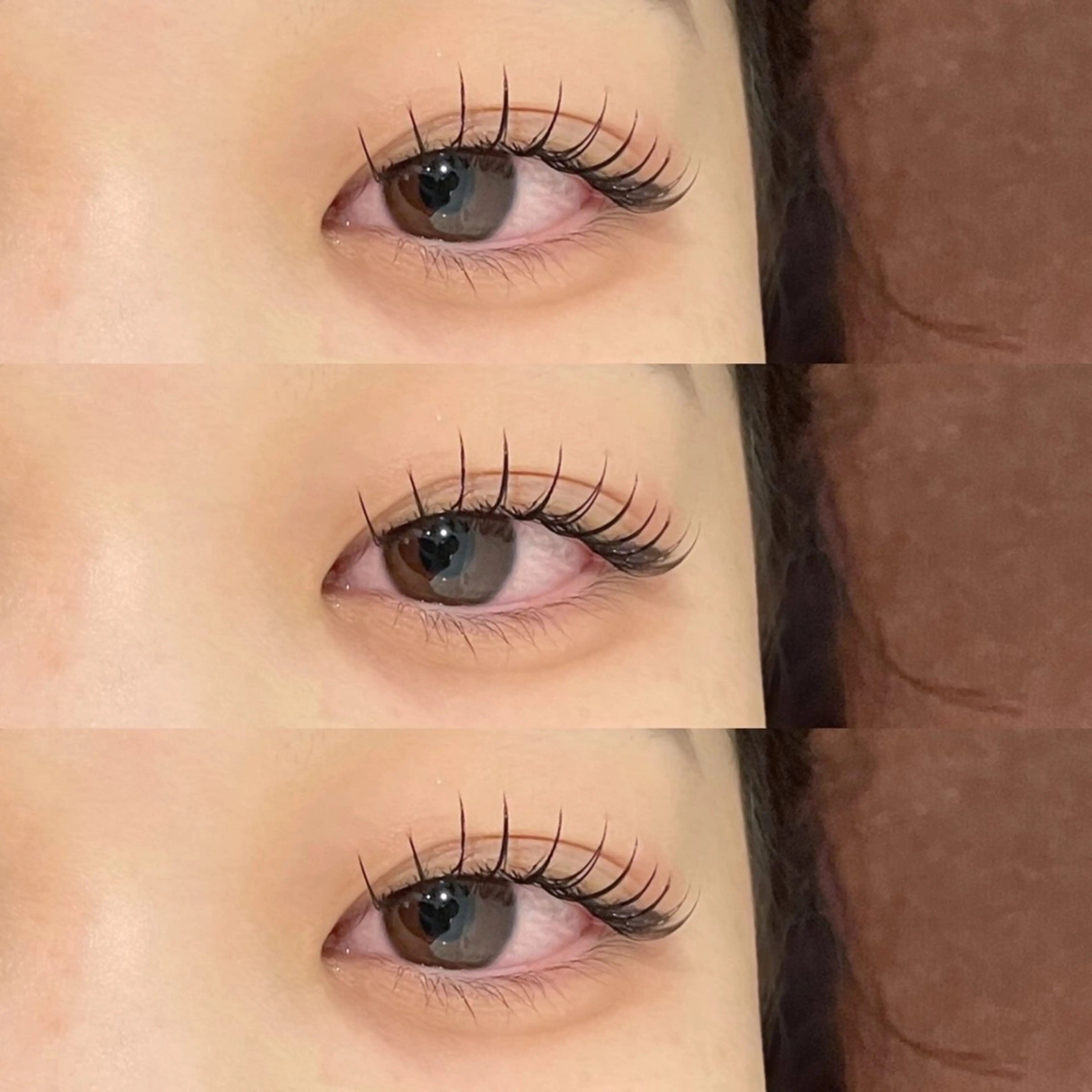 フラットラッシュ120本の写真