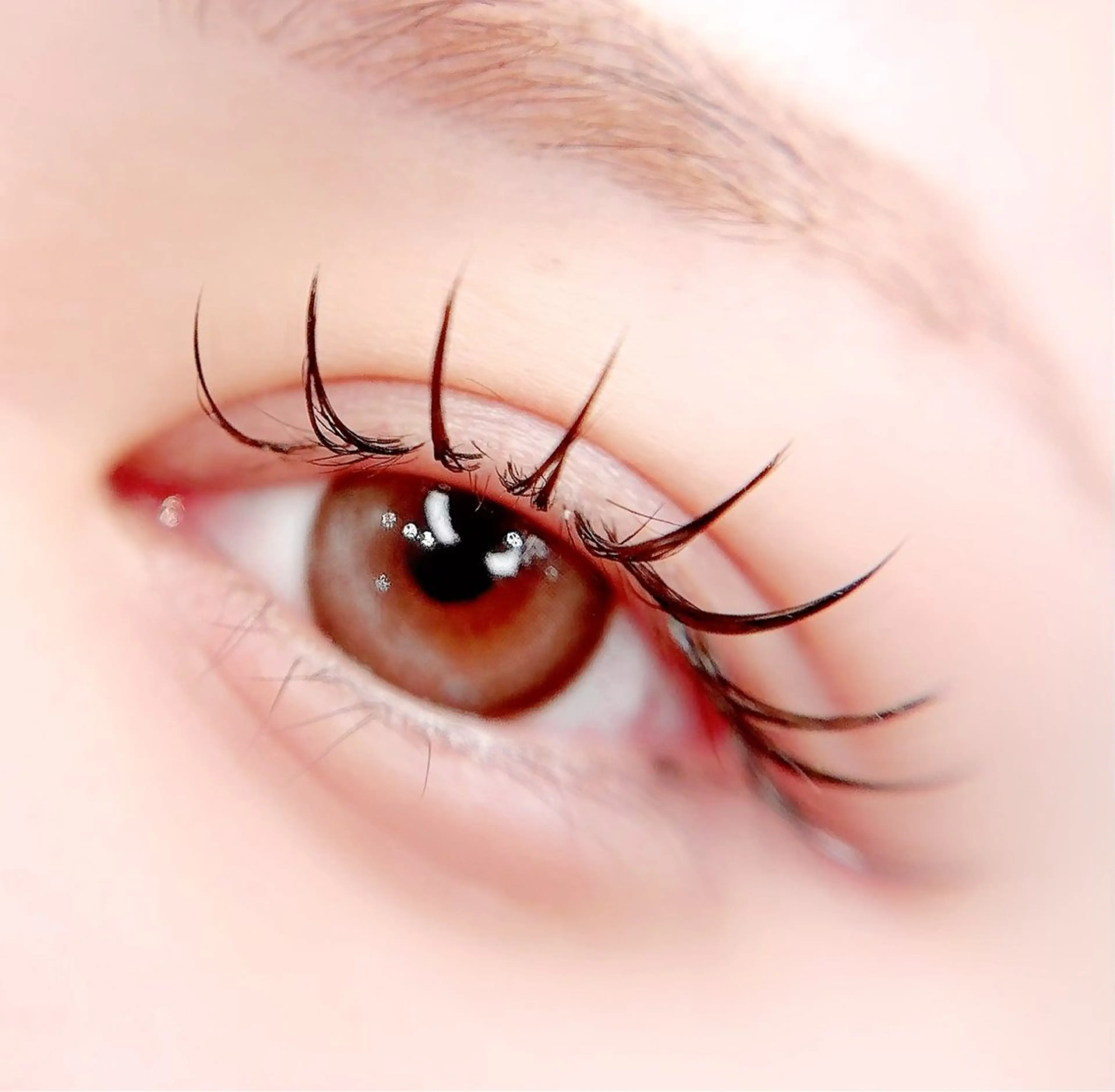 【4、5月限定】最高級フラットラッシュ100本の写真