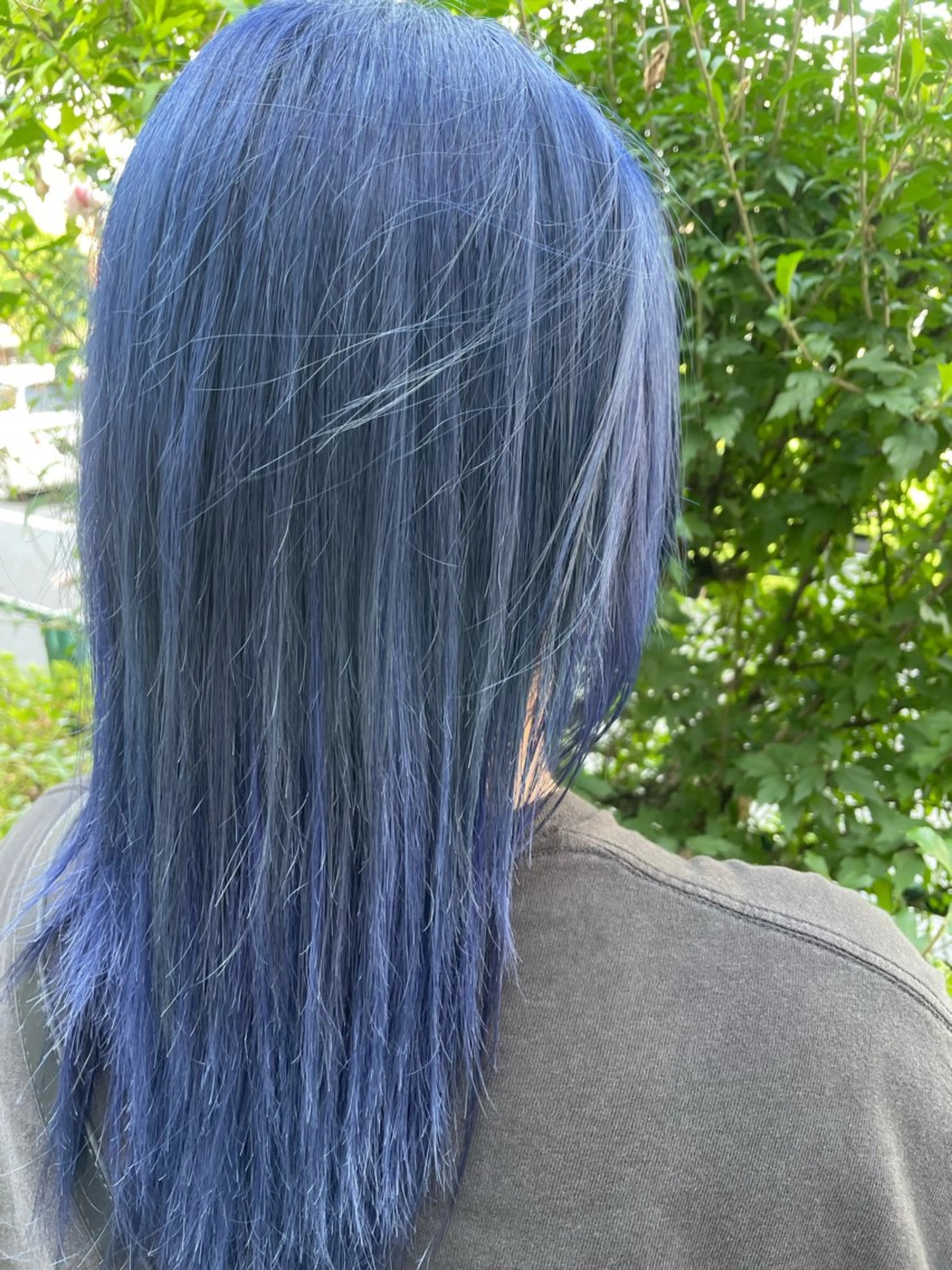 カラー ブルーカラー ダブルカラー カット ヘアカラー トリートメント 🐣 SHION🐥のヘアスタイル