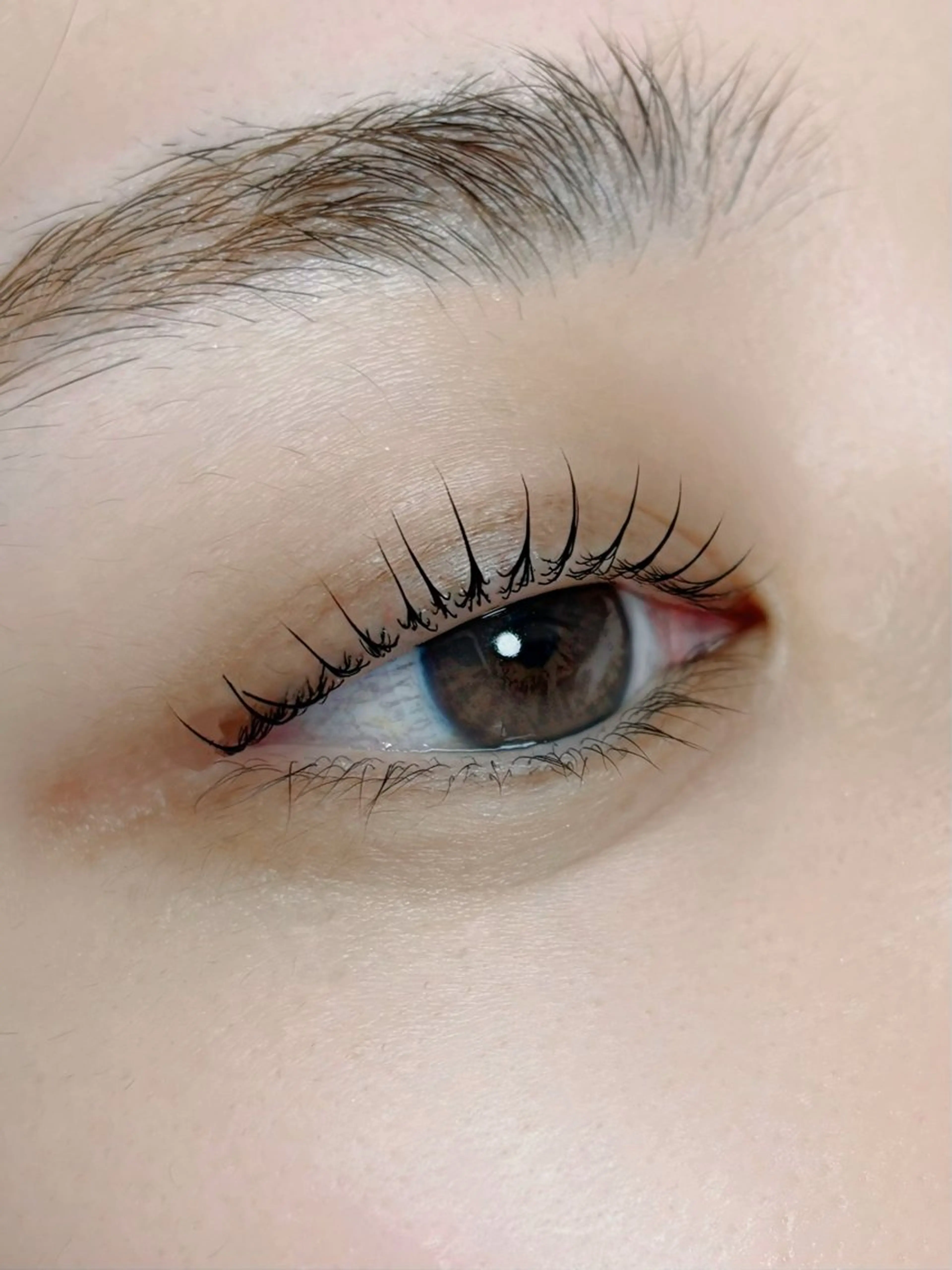 マツエク・マツパ 垢抜け眉WAX専門 ちゅるんまつげ|鎌倉の眉毛・アイブロウイメージ