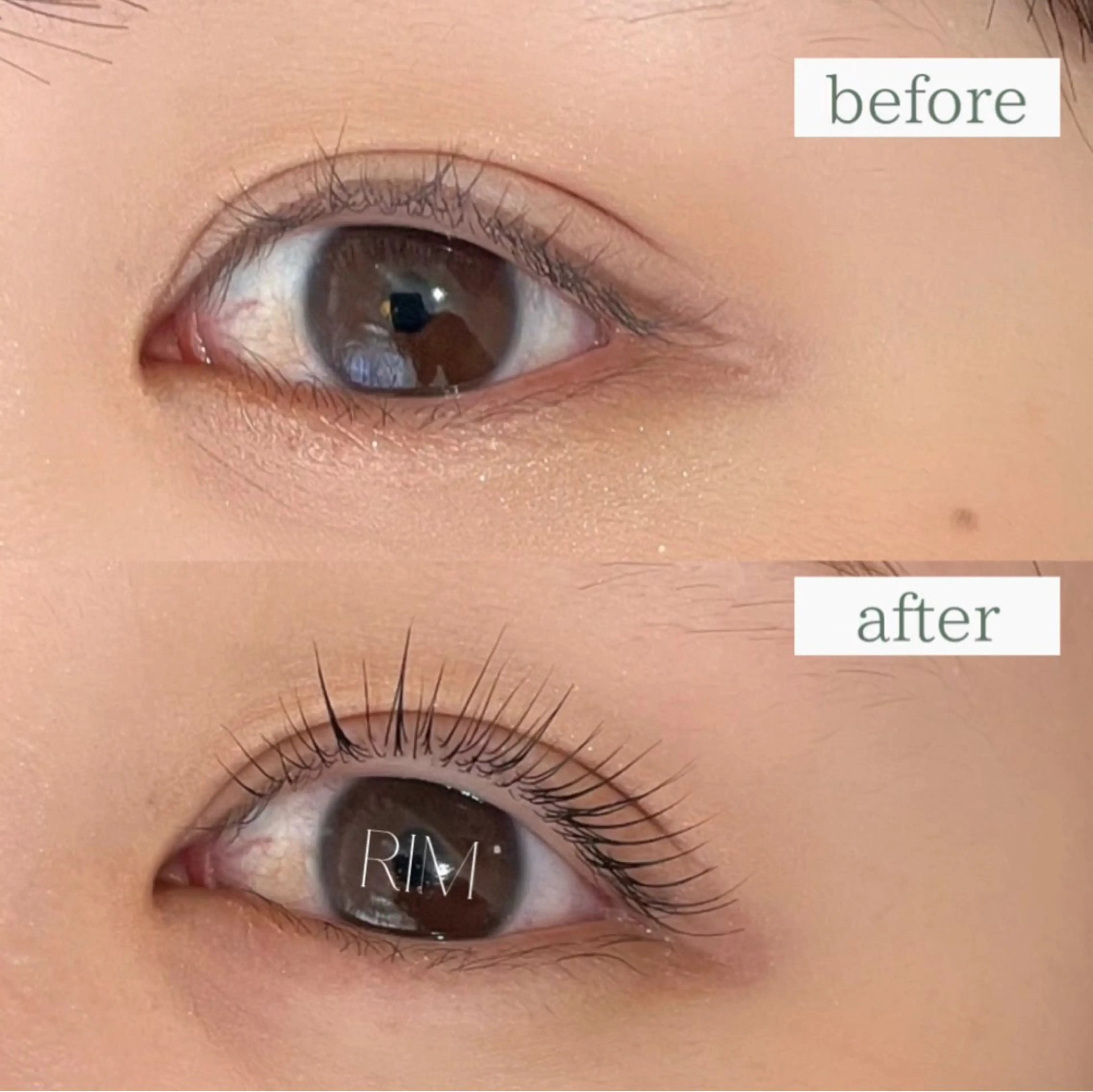 【新規】まつ毛パーマ｜恵比寿🕊️土日をご希望の方は、こちらからご予約をお願い致します。の写真