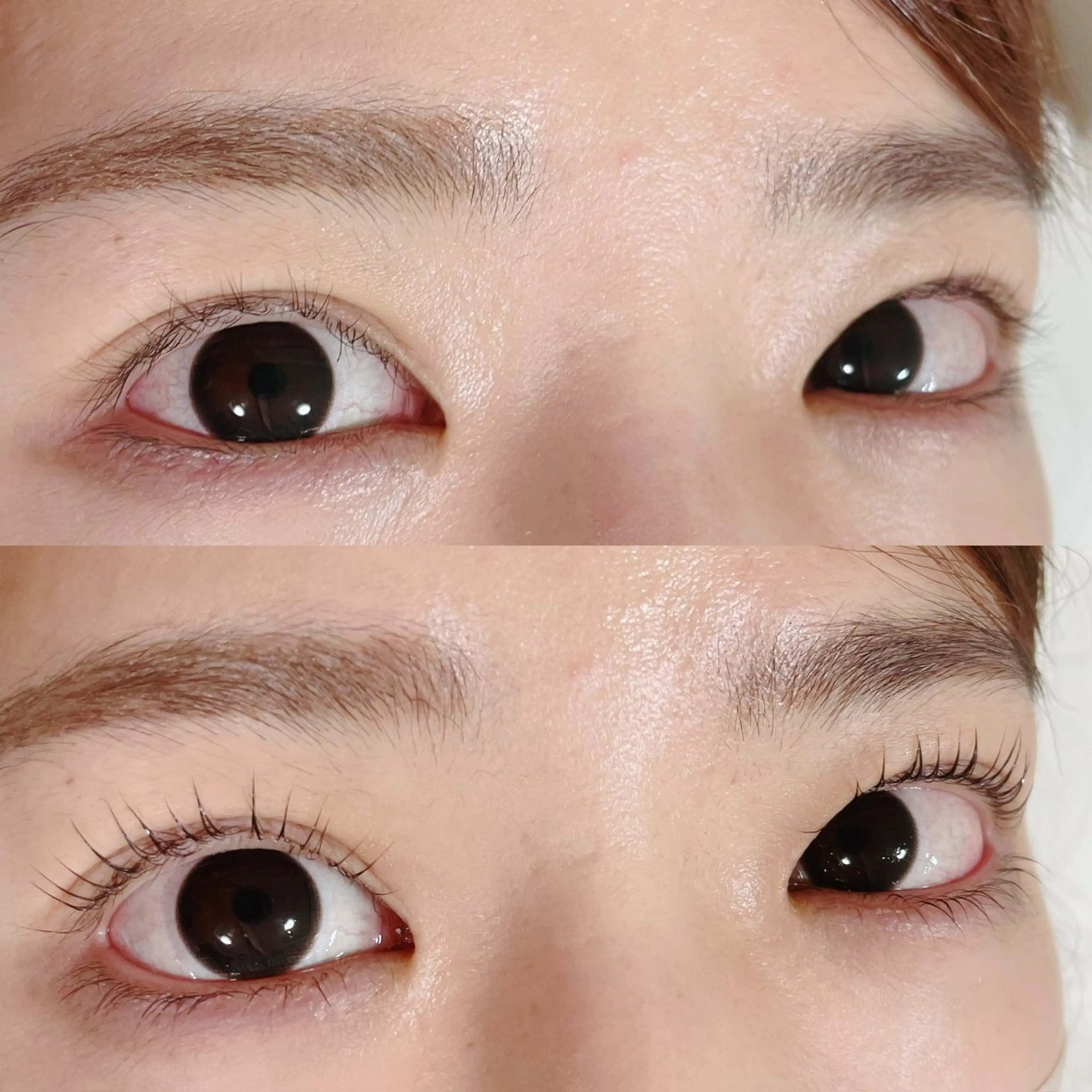 マツエク・マツパ Laurel 🎀Minamiのマツエク・マツパデザイン