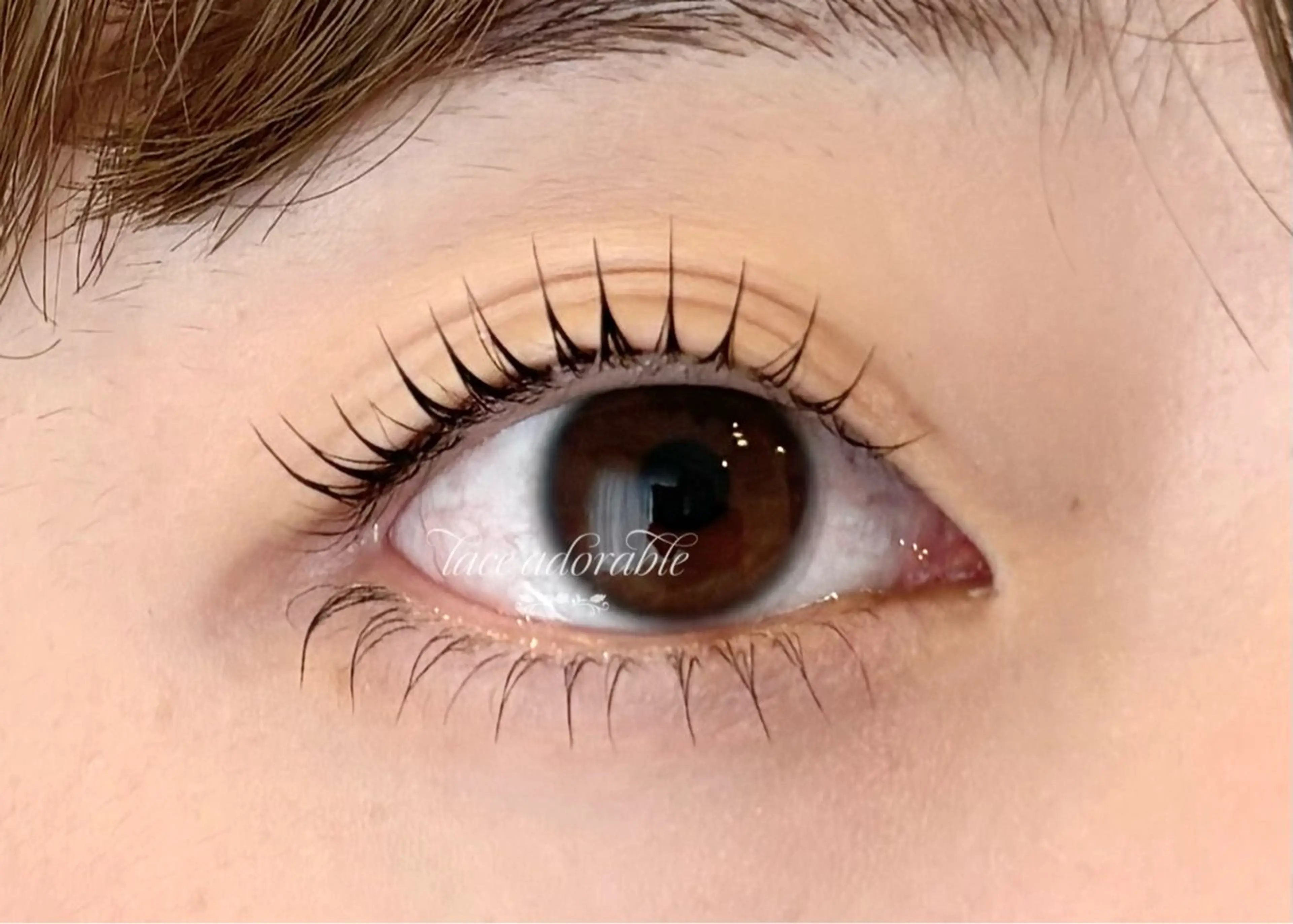 マツエク・マツパ マツパ lace adorable所属・レース アドラブル eyeのマツエク・マツパデザイン