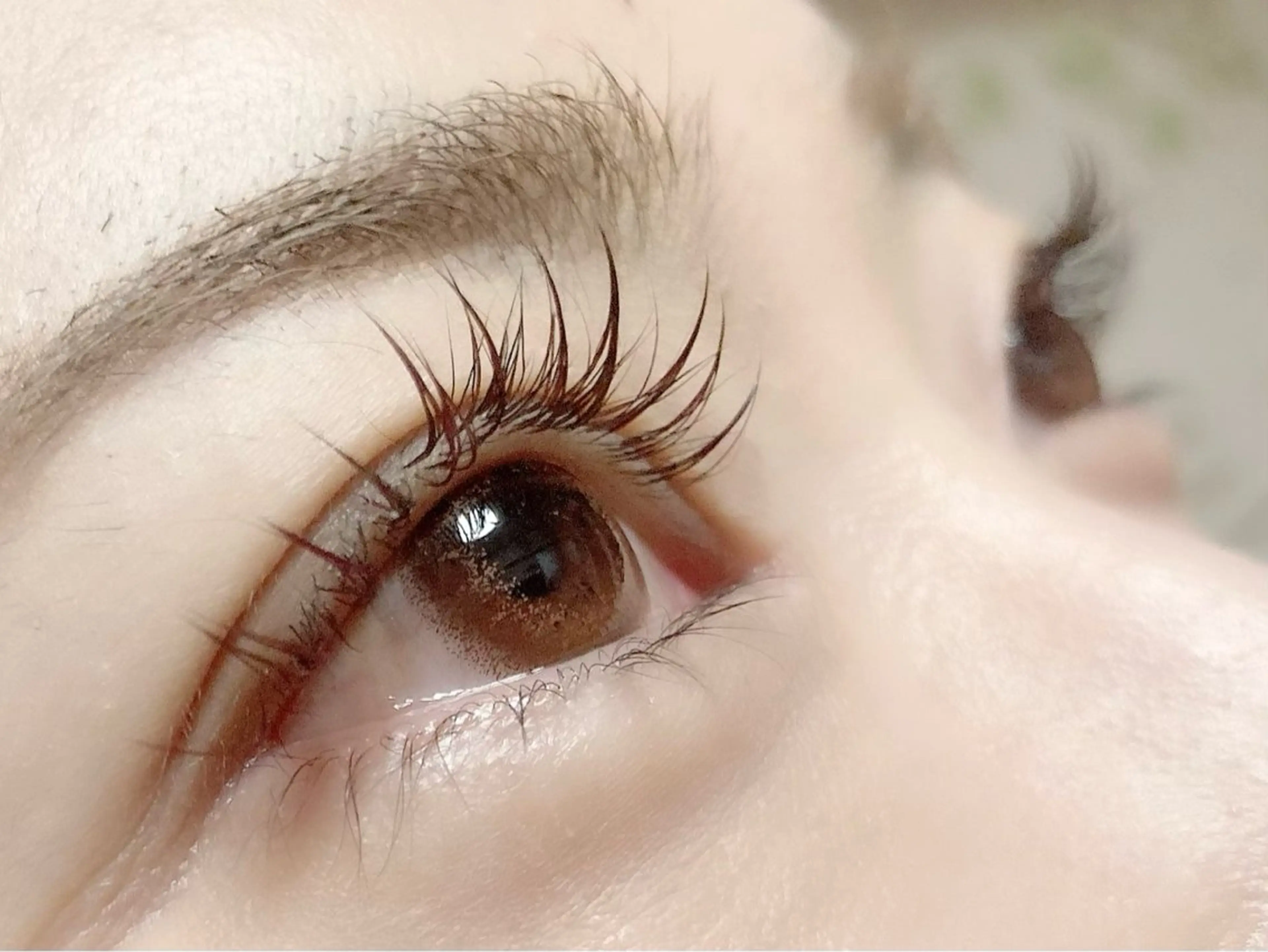 マツエク・マツパ Hase　本八幡 🧸マツエク専門🧸のマツエク・マツパデザイン