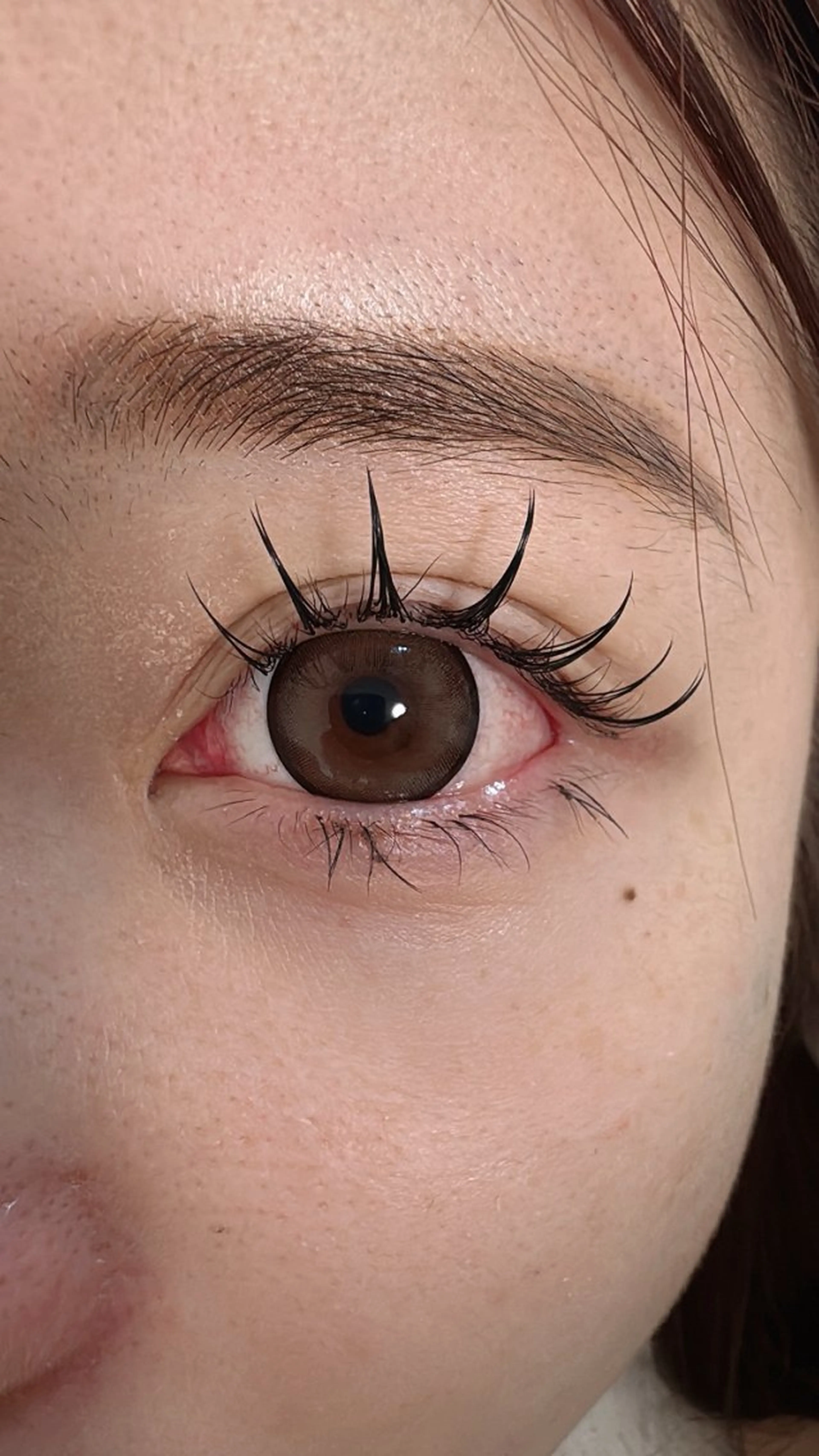 マツエク・マツパ 束感まつ毛 フラットラッシュ パリジェンヌラッシュリフト マツエク パリジェンヌ マツエク専門店　玲子のマツエク・マツパデザイン