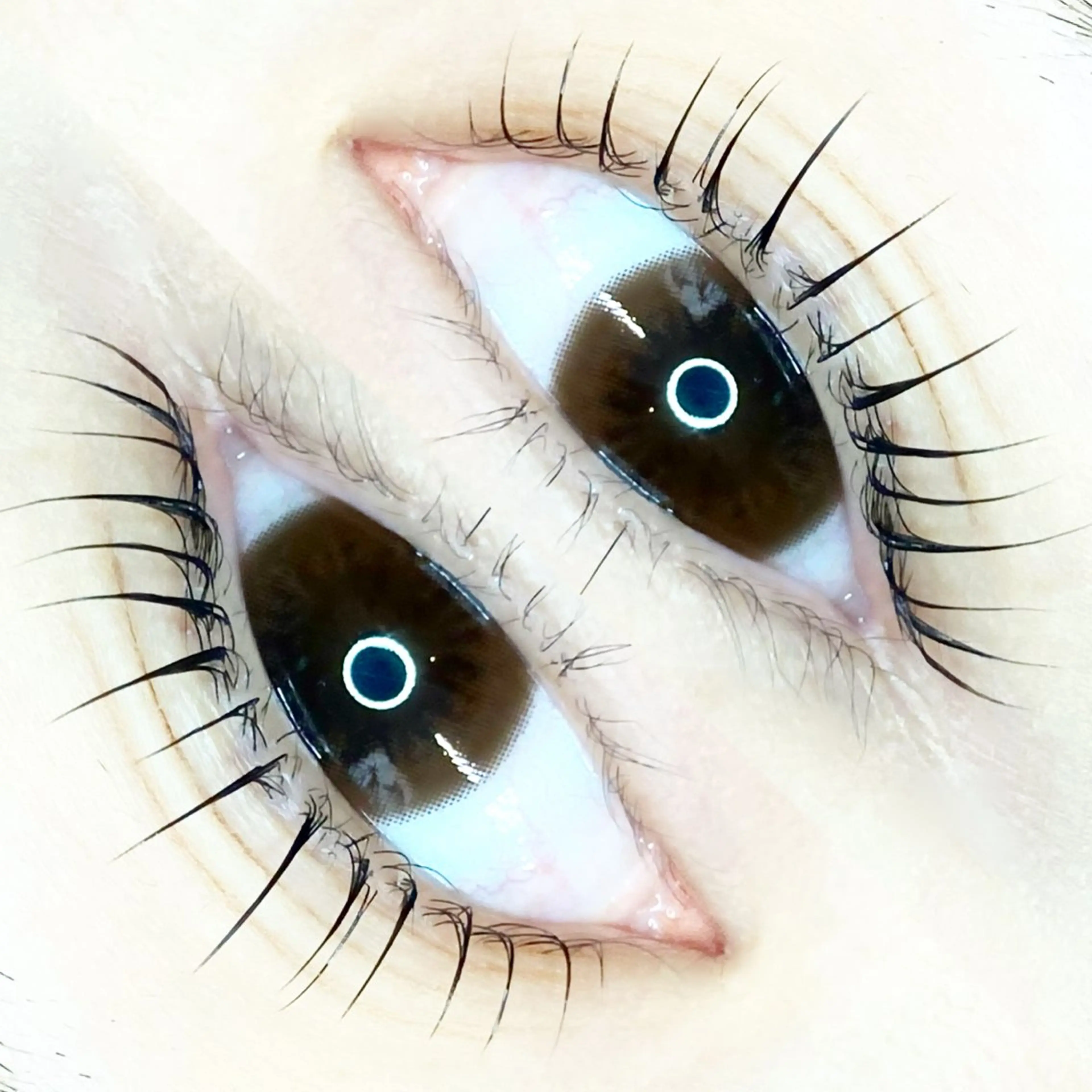 マツエク・マツパ パリジェンヌラッシュリフト io .のマツエク・マツパデザイン