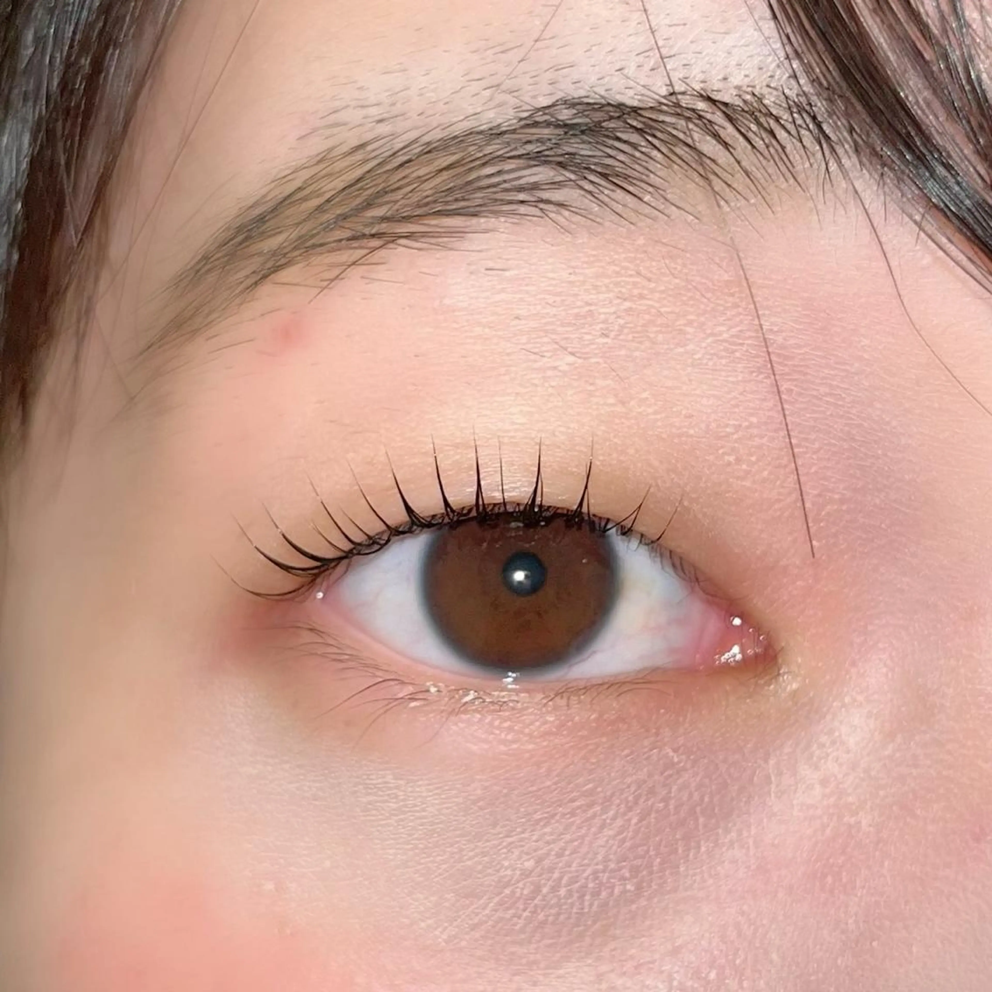 マツエク・マツパ パリジェンヌラッシュリフト まつげパーマ ai一重専門🎀束感 まつげ🫧表参道のマツエク・マツパデザイン