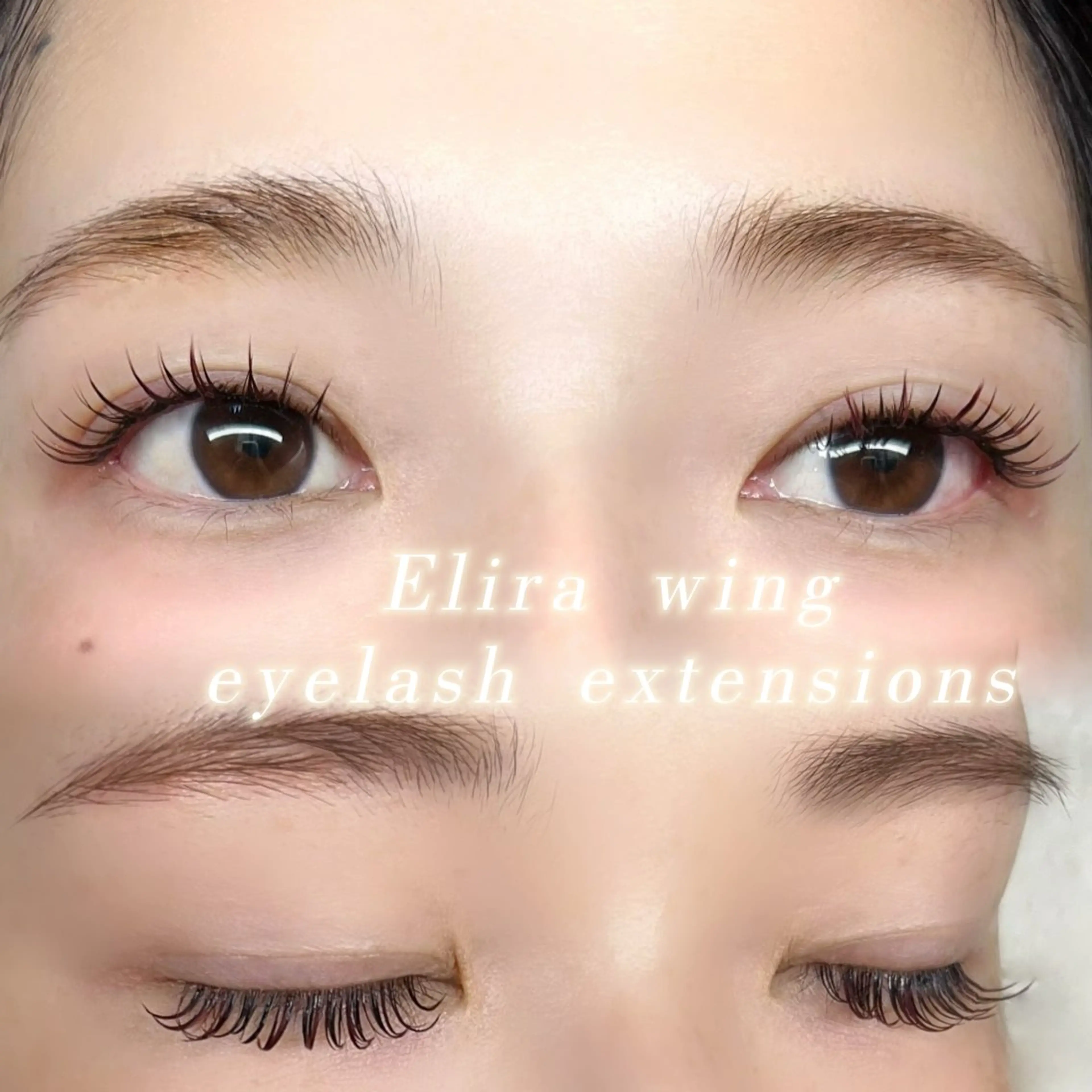 アイブロウ 眉カラー Elira wingのマツエク・マツパデザイン