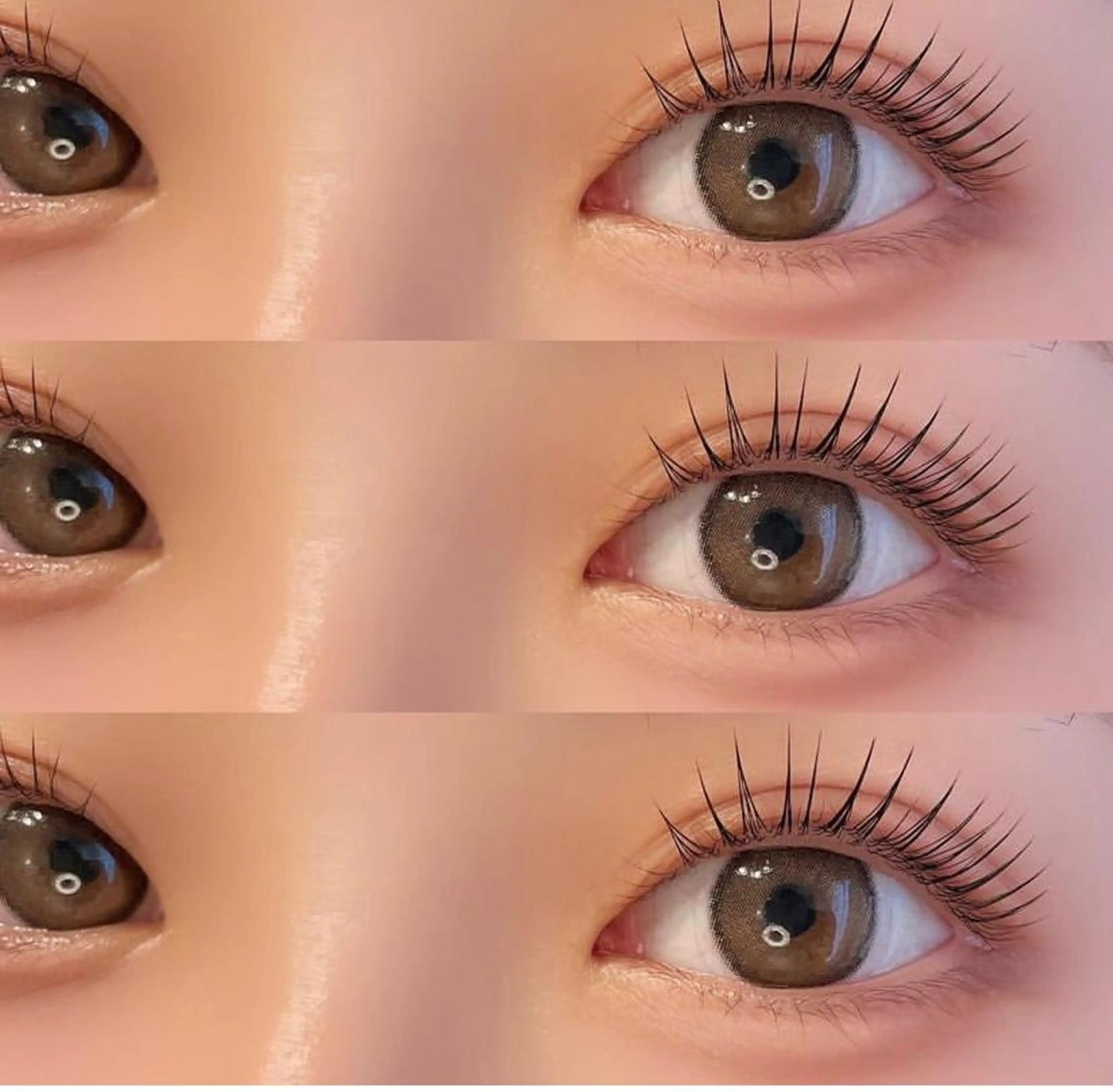 平日16時まで限定🌹韓国マスカラパーマ5000円🌹 どんな目元の方でも理想的な形に上がるようにの写真