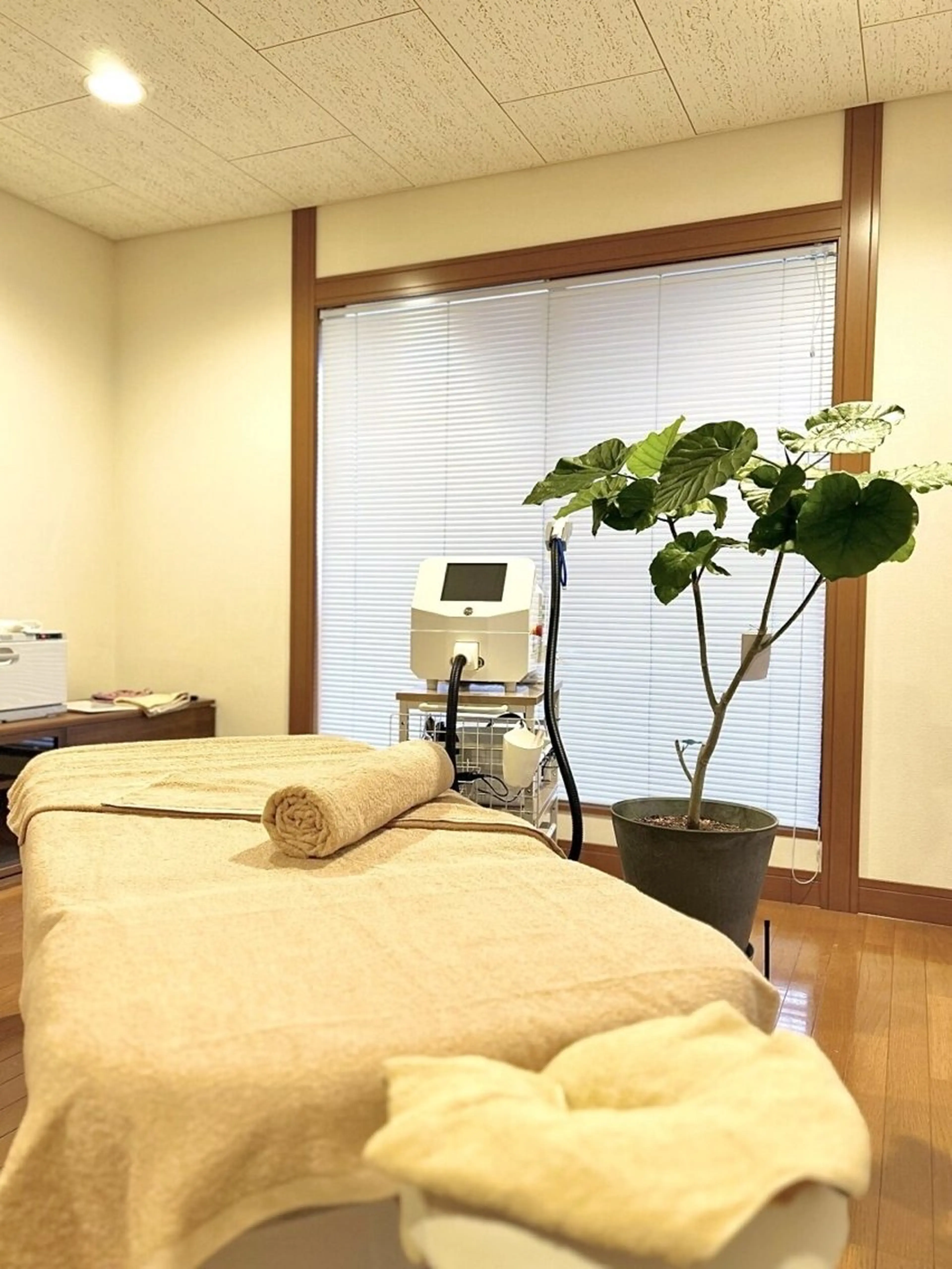 無料脱毛カウンセリングの写真