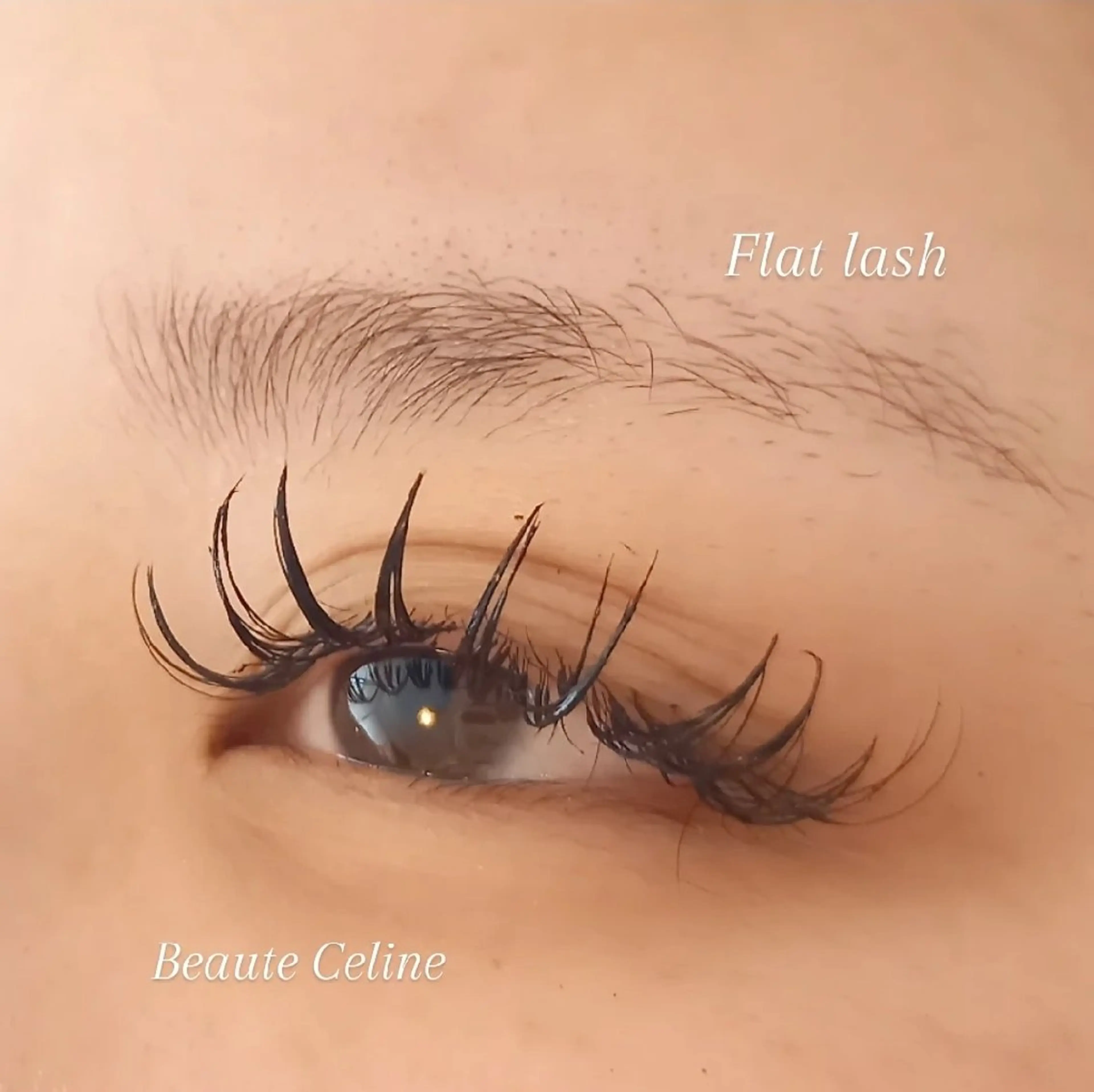 マツエク・マツパ 束感まつ毛 マツエク beaute.celine所属・8時~✨beaute Celine🌛🌹のマツエク・マツパデザイン