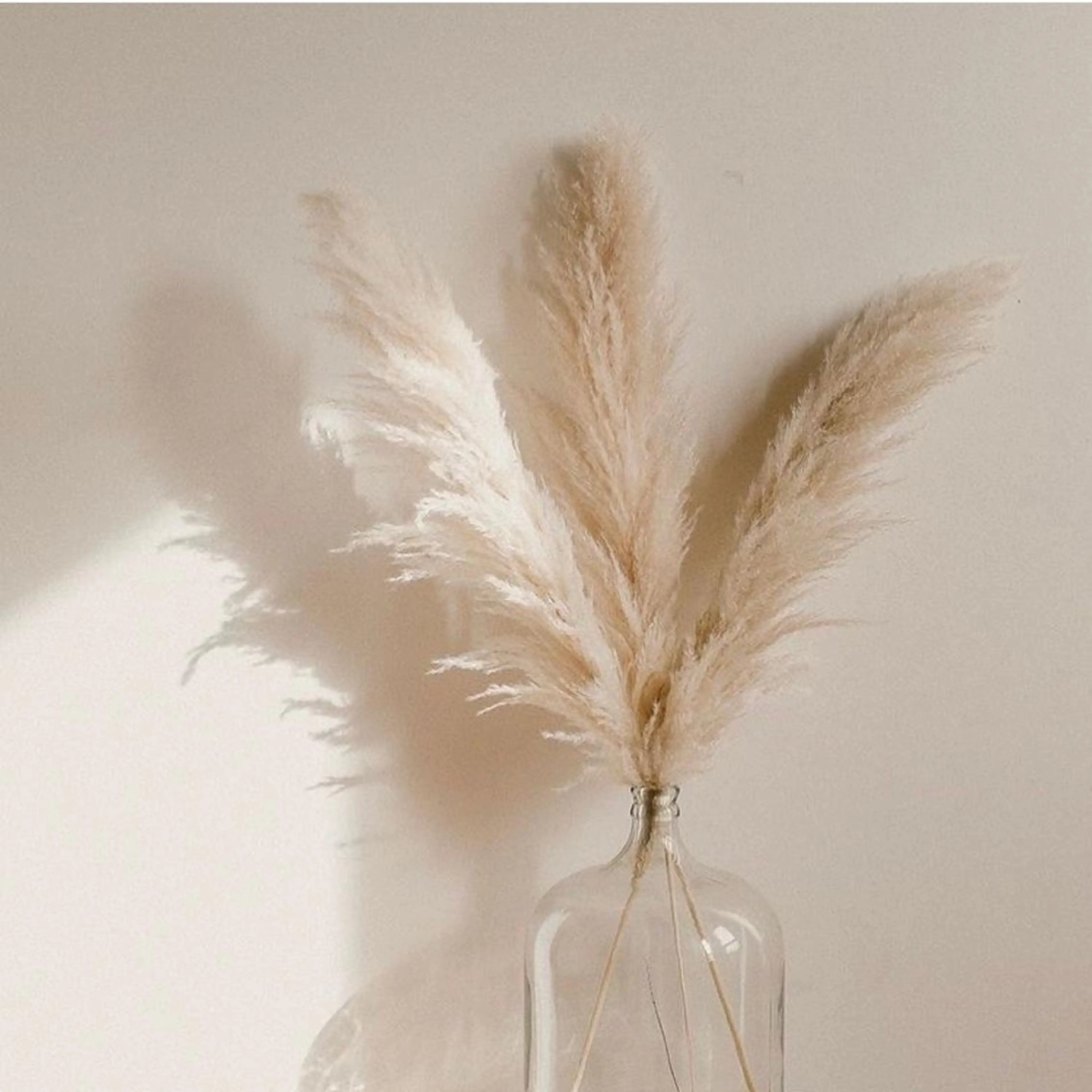 田川 きららのマツエク・マツパデザイン