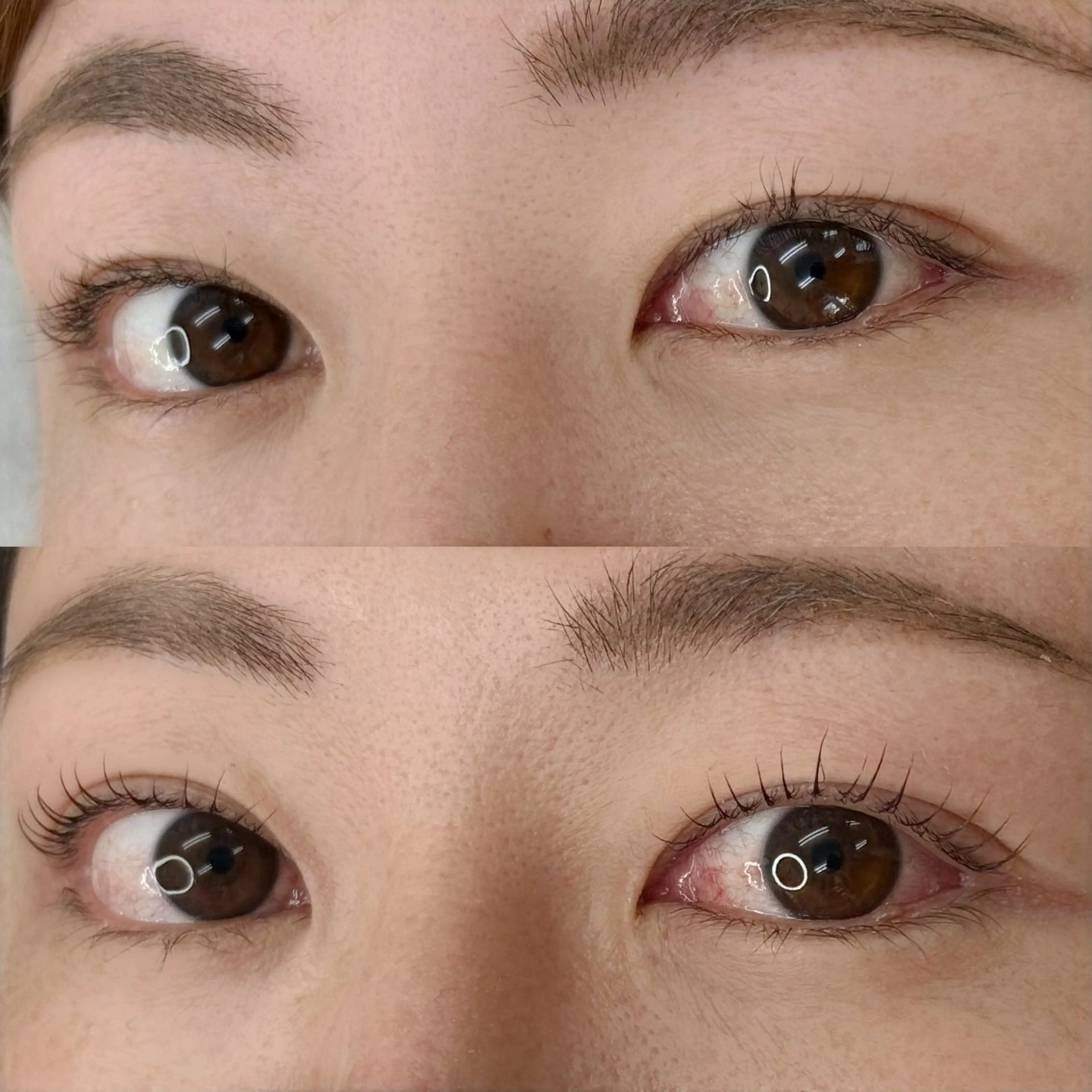 マツエク・マツパ マツパ MAMI🤍 Tuuliの眉毛・アイブロウイメージ