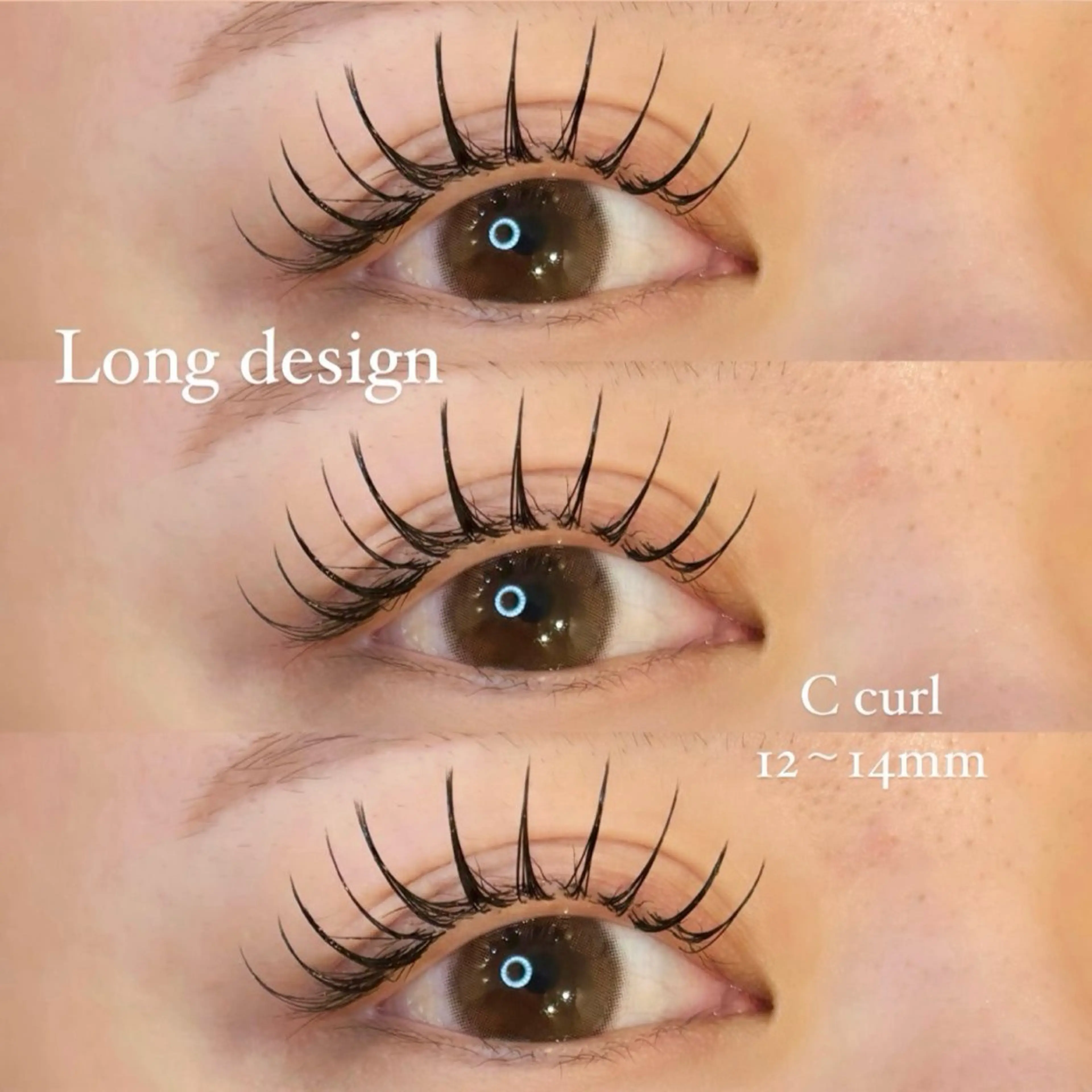 【持ち最強❤️‍🔥】バインドロック160本(80束)/オフ・美容液コーティング付の写真