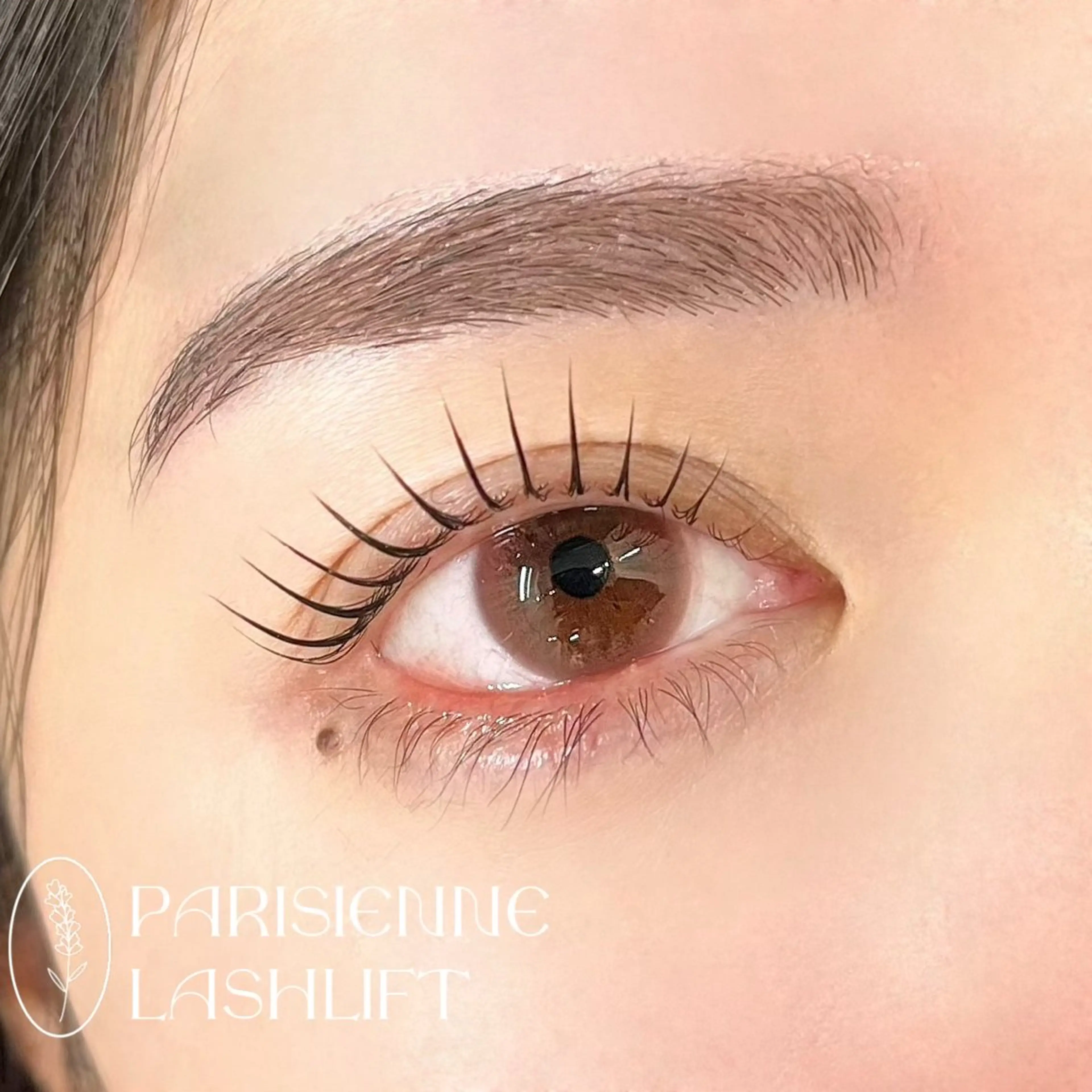 マツエク・マツパ パリジェンヌラッシュリフト マツパ S. yuukaのエステ・リラクイメージ