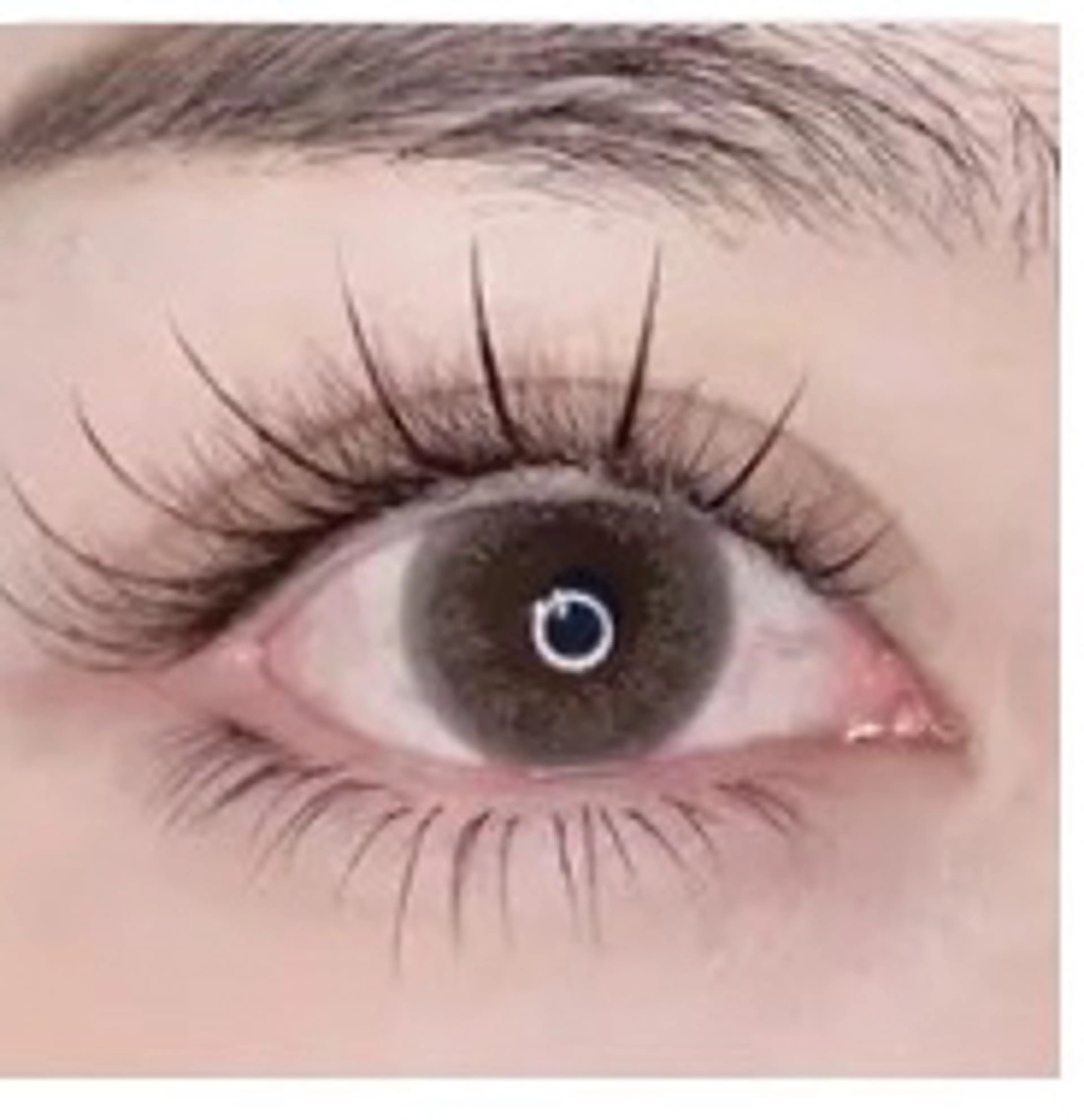 マツエク・マツパ マツエク Ruru Studioのマツエク・マツパデザイン