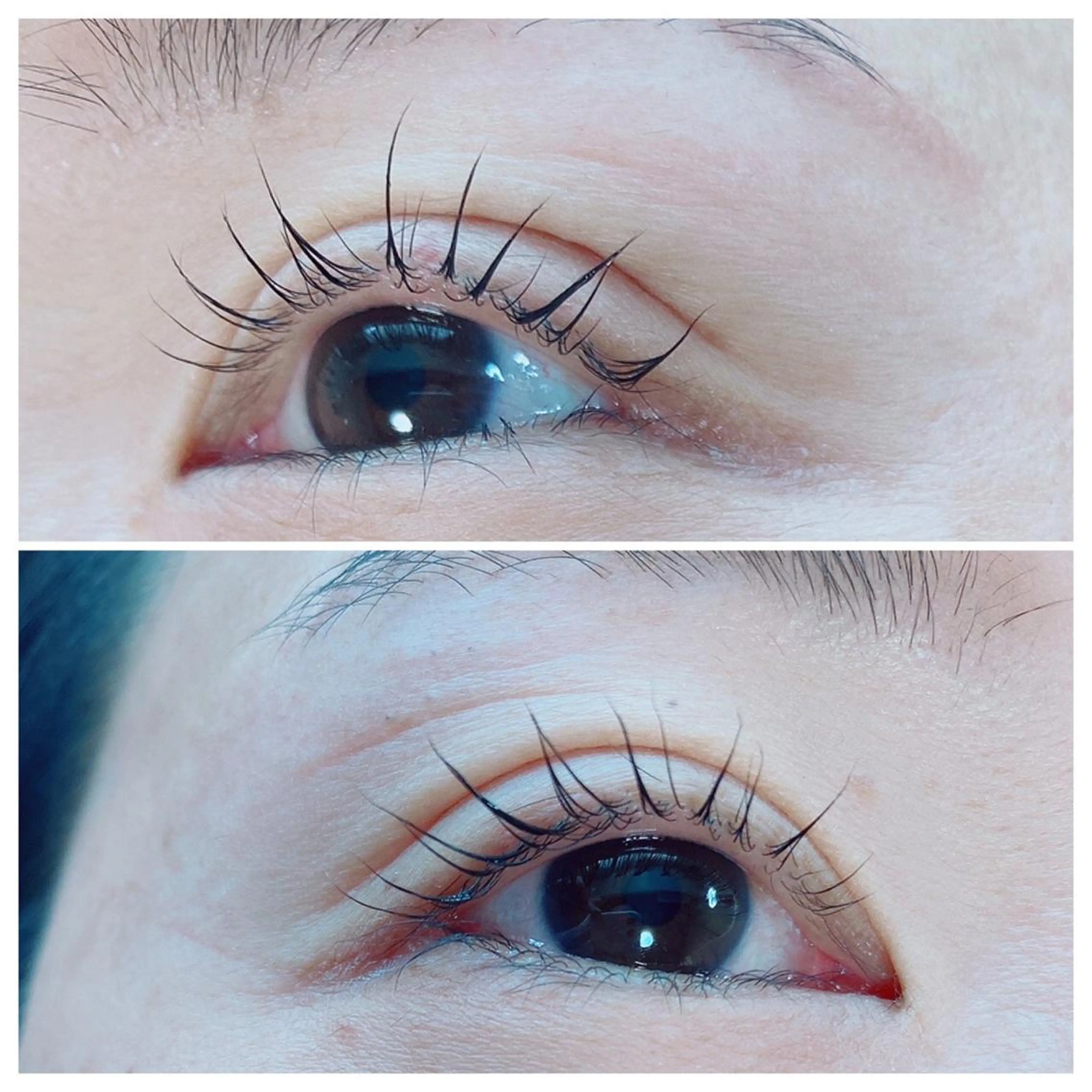 マツエク・マツパ Petit maisonのネイルデザイン