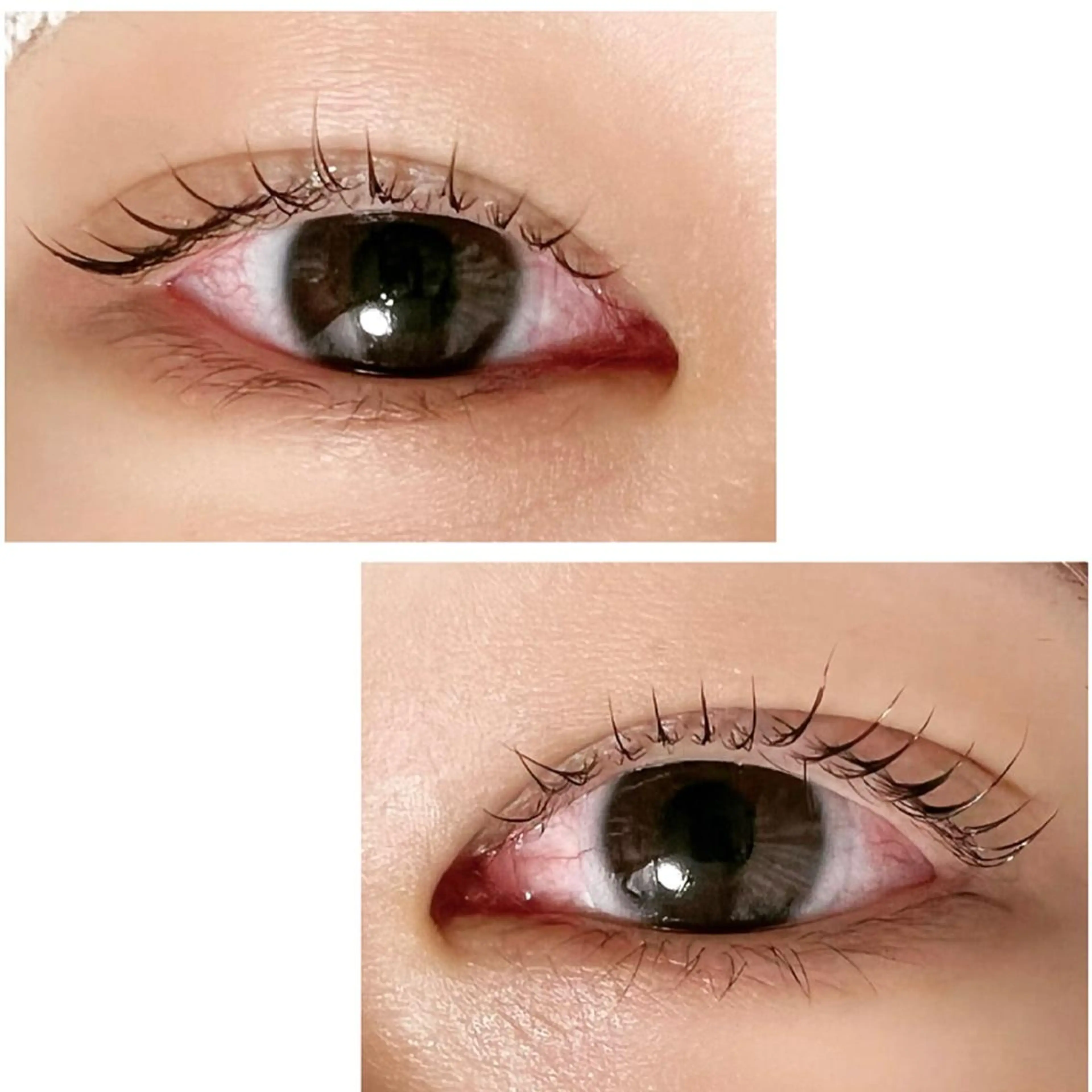 マツエク・マツパ Adorer 🍀アドレ🍀のマツエク・マツパデザイン