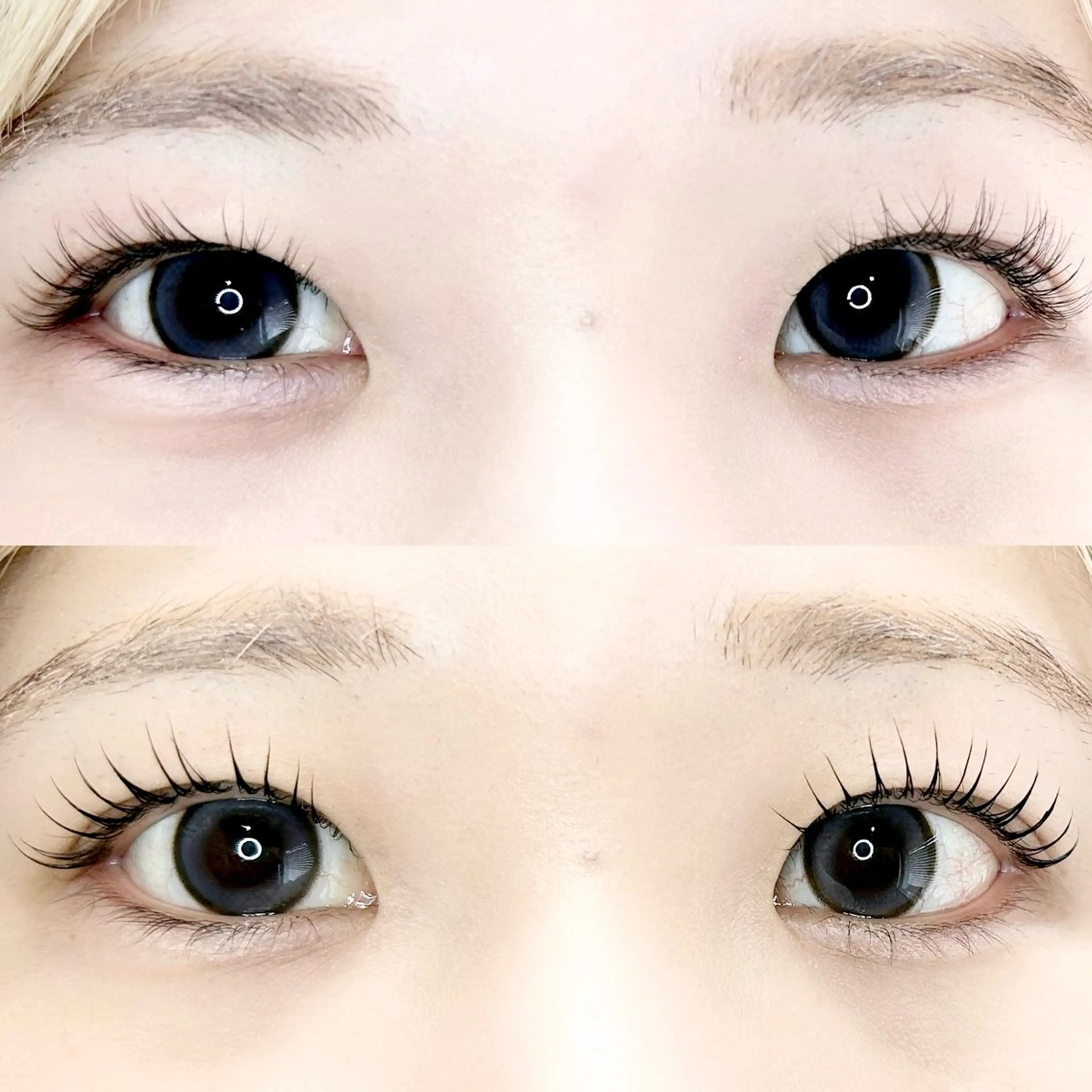 🖤 ブラックティント+まつ毛パーマ上のみの写真