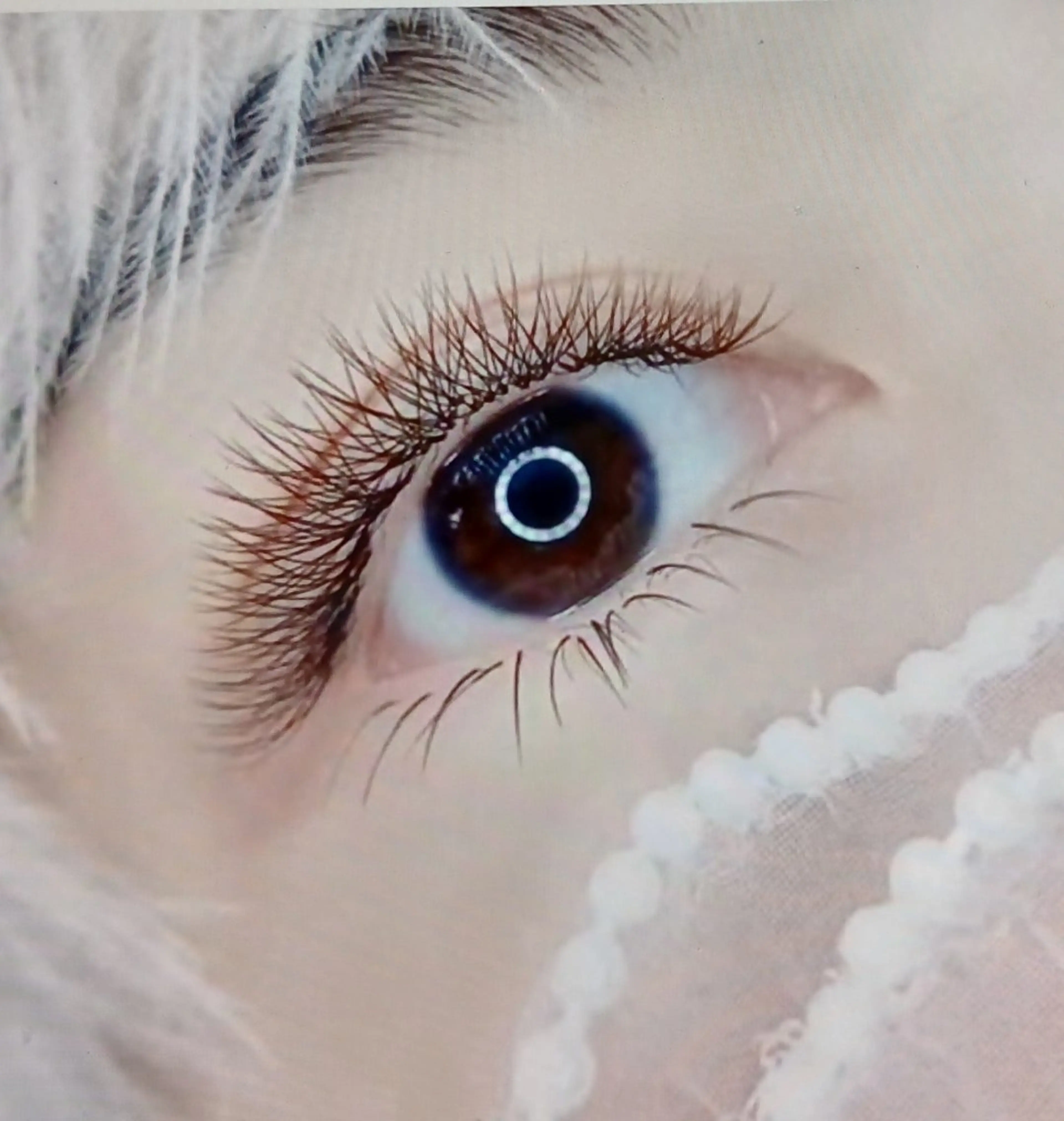 【キャンペーン】ボリュームYY、三葉2D-4Dラッシュ(黒/ブラウン) バサバサ 300本4990の写真