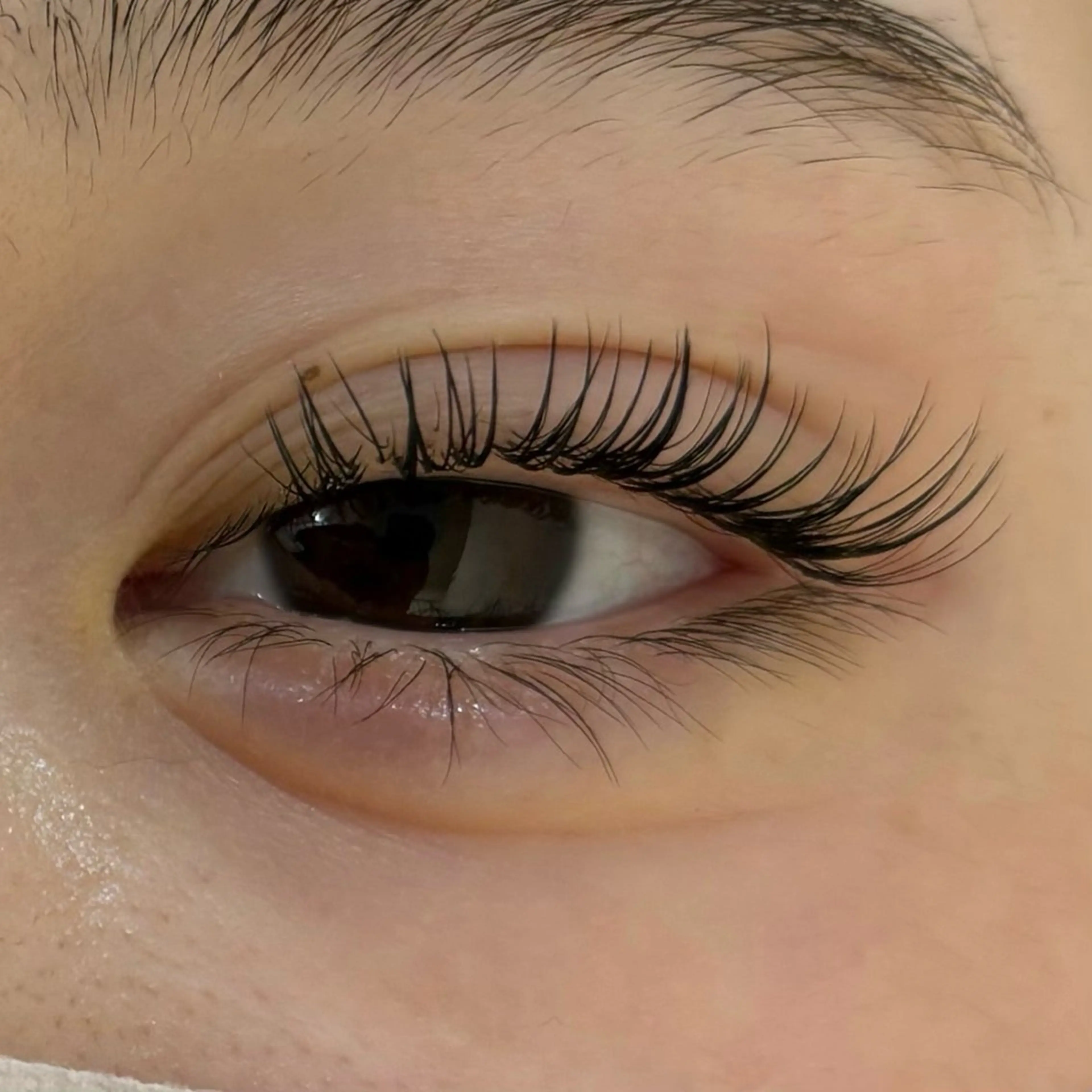 マツエク・マツパ プラスアイ🩶 KARINOのマツエク・マツパデザイン