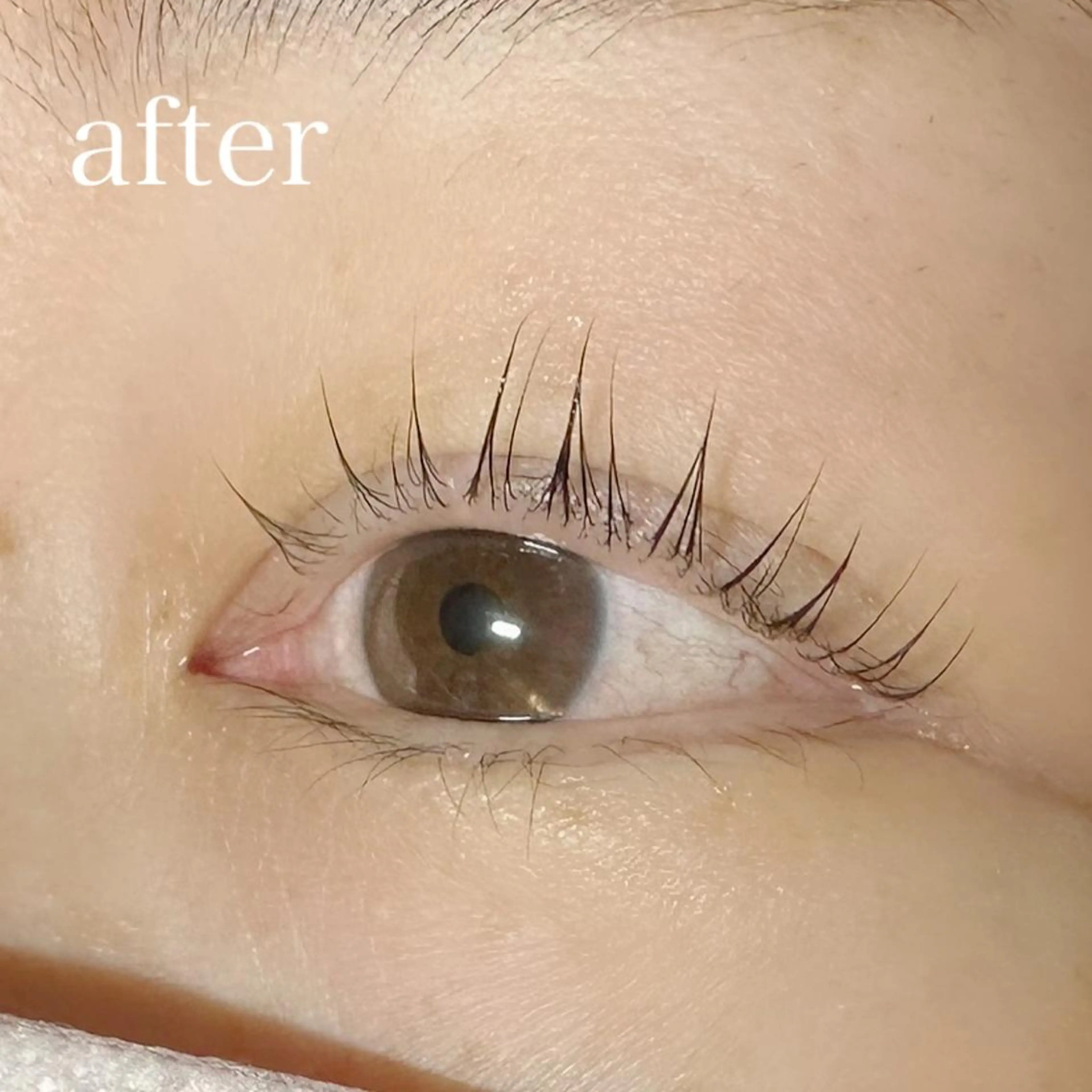 根元から上げる！大人気パリジェンヌラッシュリフト🌿の写真