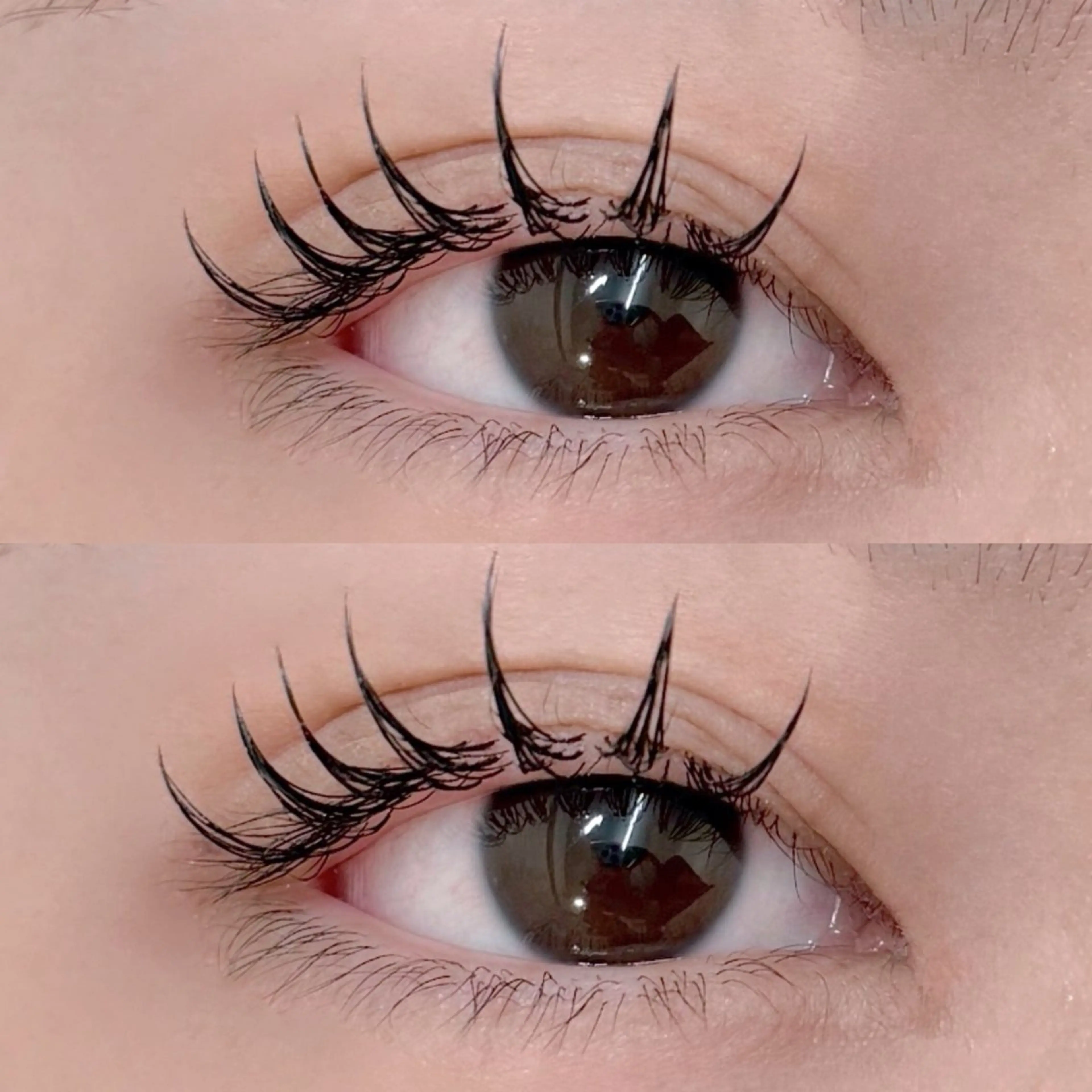 マツエク・マツパ VENUSBELT Renのマツエク・マツパデザイン