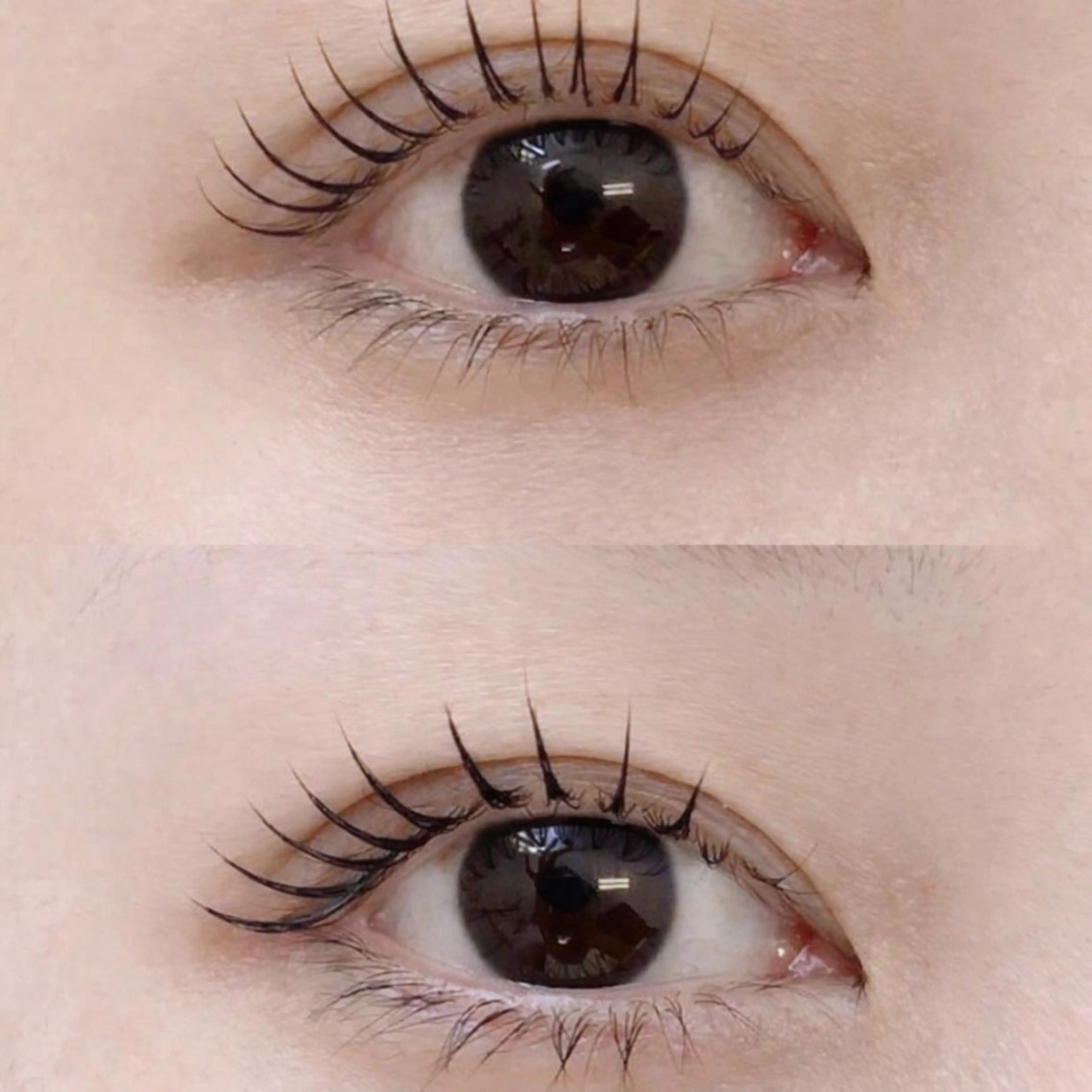 【付け替えオフ無料】コーティング付きLEDマツエク100本の写真