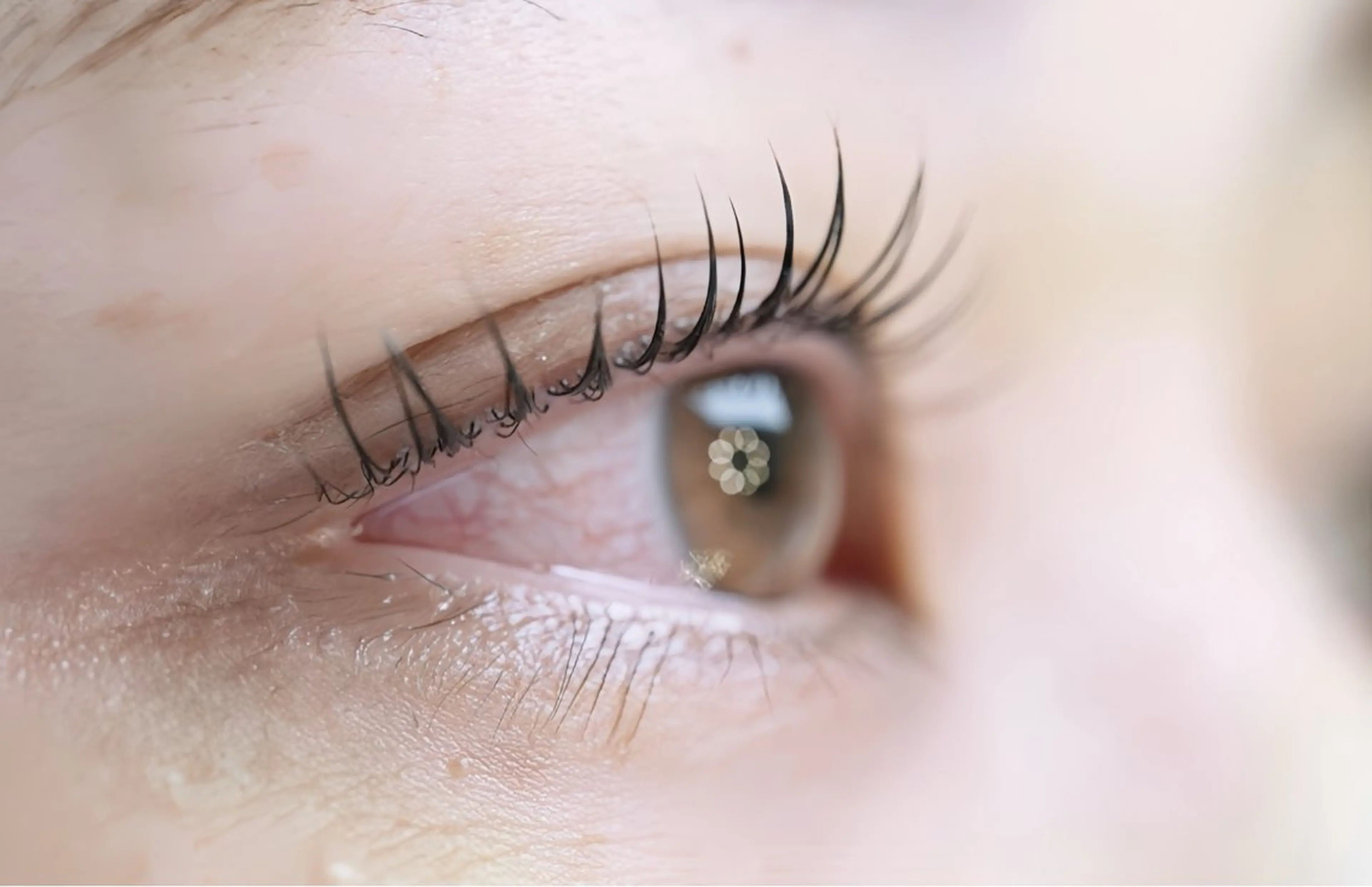 マツエク・マツパ Ome kashiのマツエク・マツパデザイン