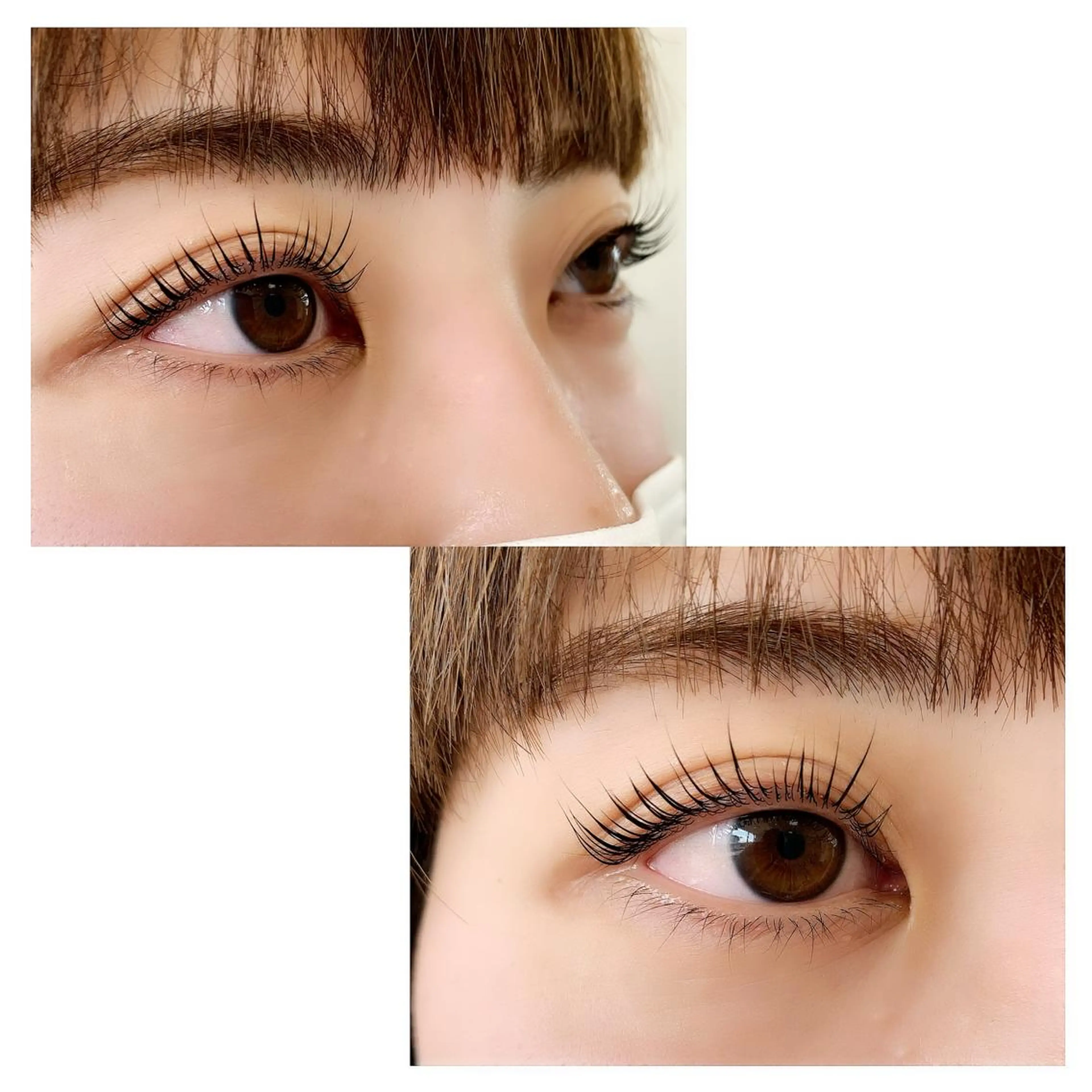 🌼ラッシュリフトの写真