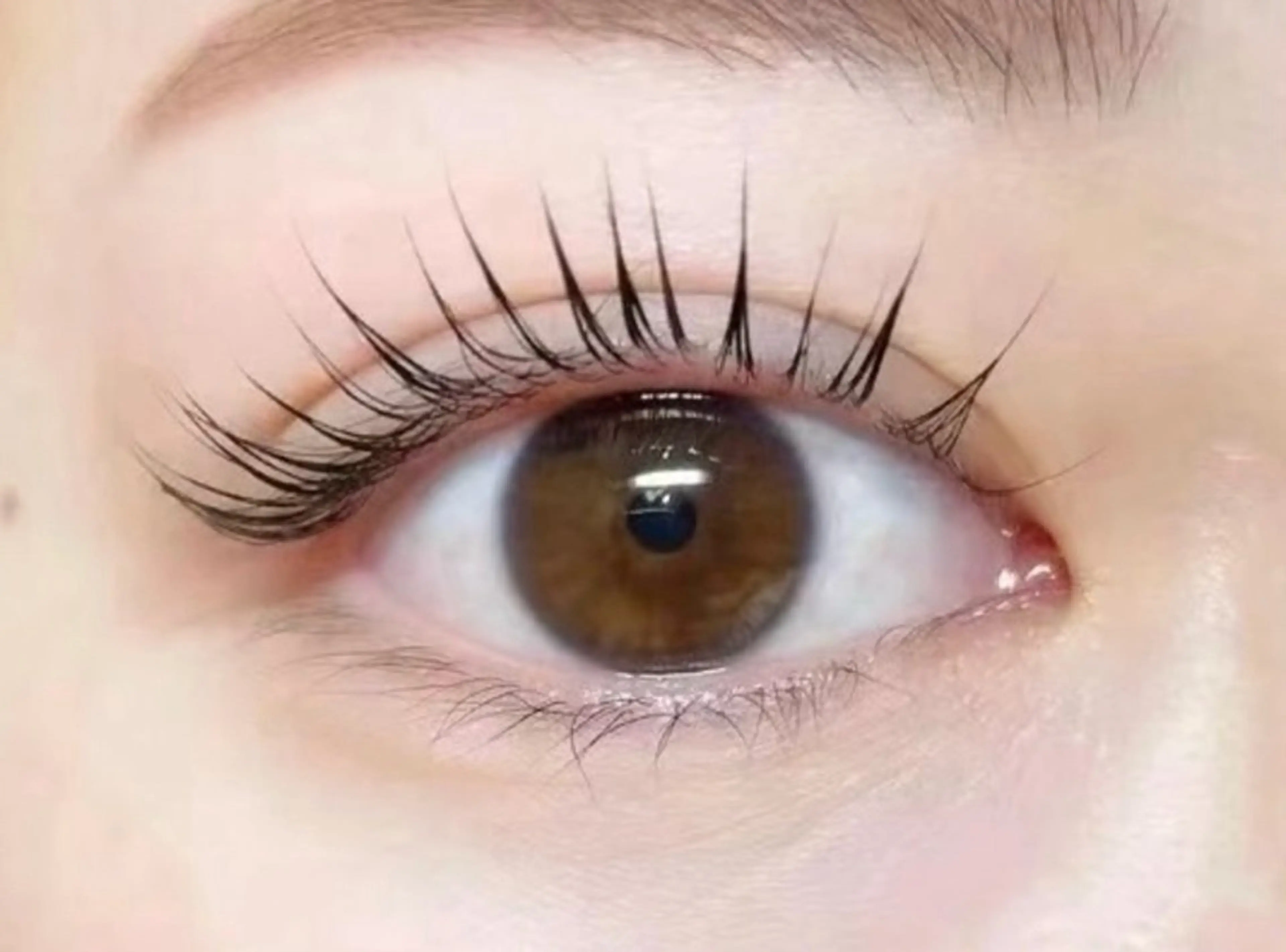 マツエク・マツパ あや🥑 チルザルトサロンのマツエク・マツパデザイン