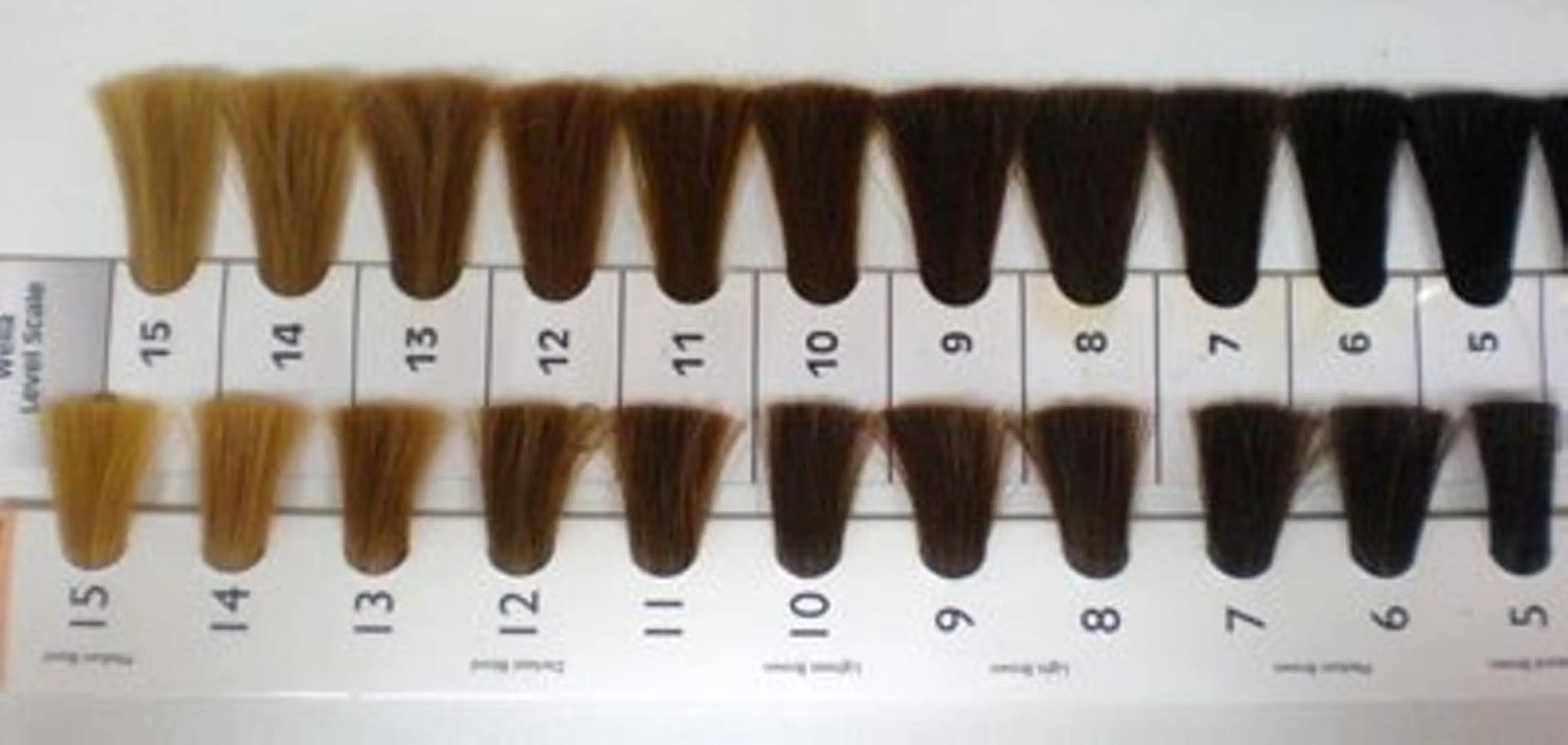 カラー Hair salon Luana所属・東 真由美のマツエク・マツパデザイン