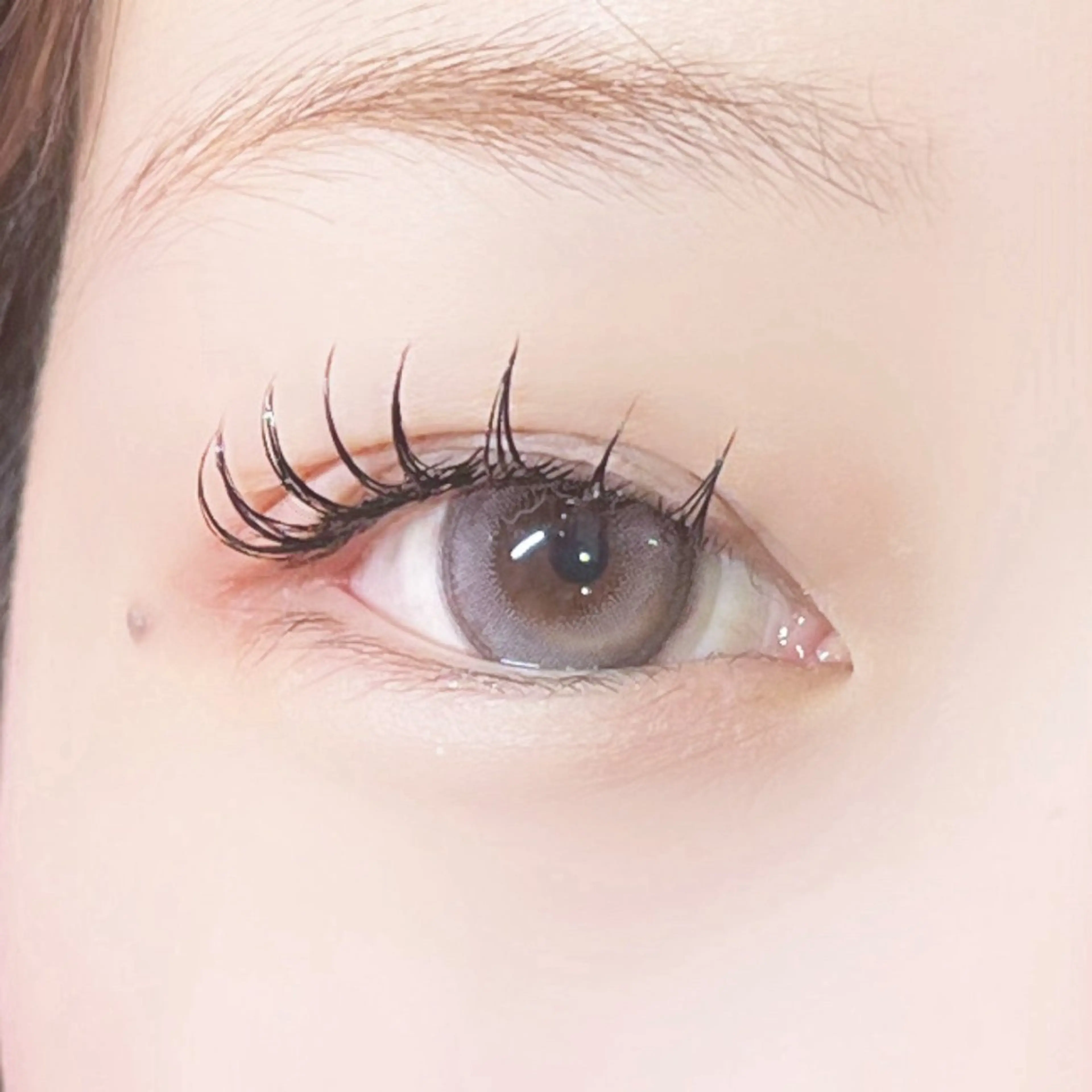 マツエク・マツパ マツエク muni所属・ひがしの ももかのマツエク・マツパデザイン