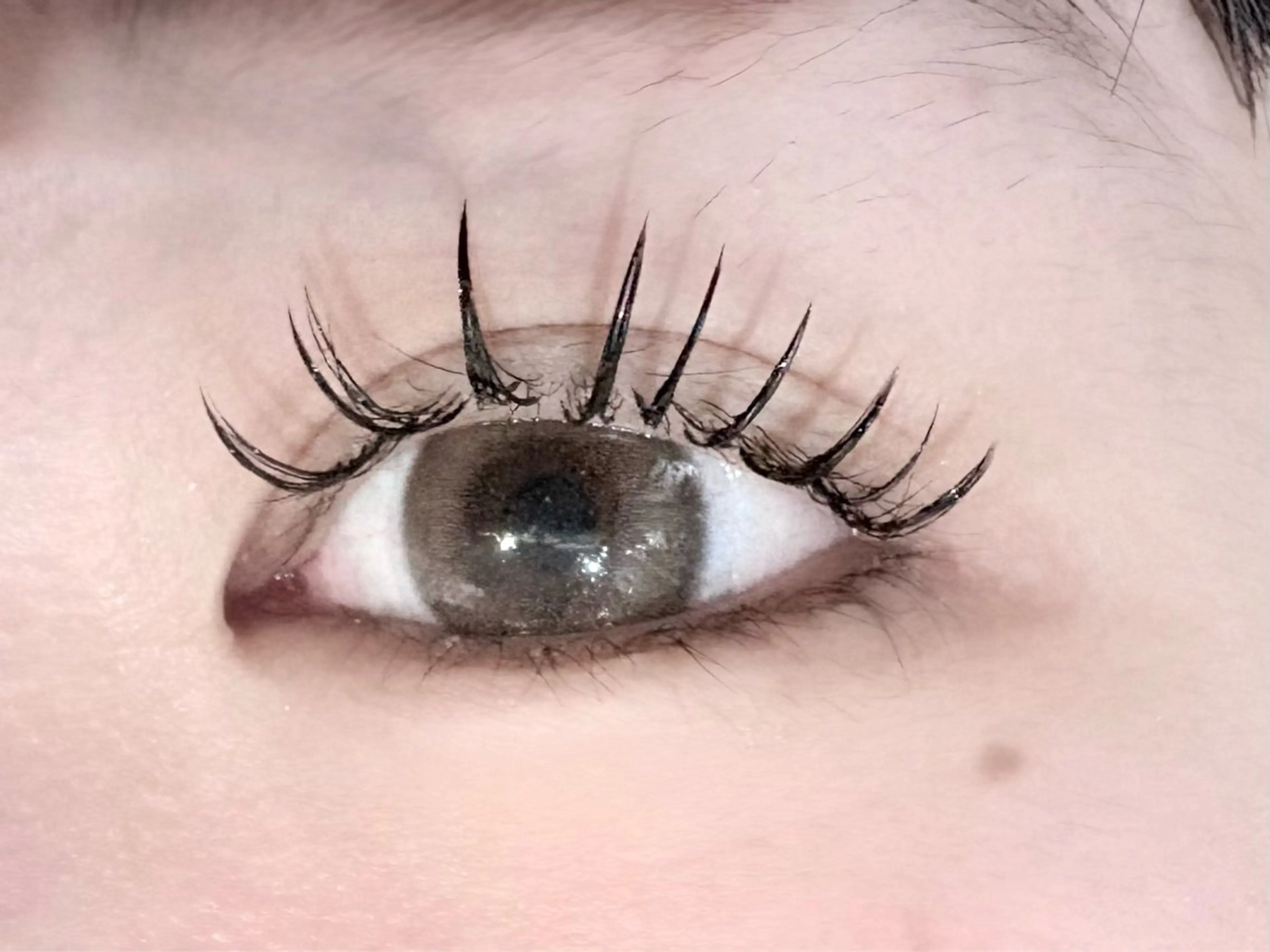 マツエク・マツパ 束感まつ毛 キュート フラットラッシュ マツエク Manami ︎︎⟡のマツエク・マツパデザイン