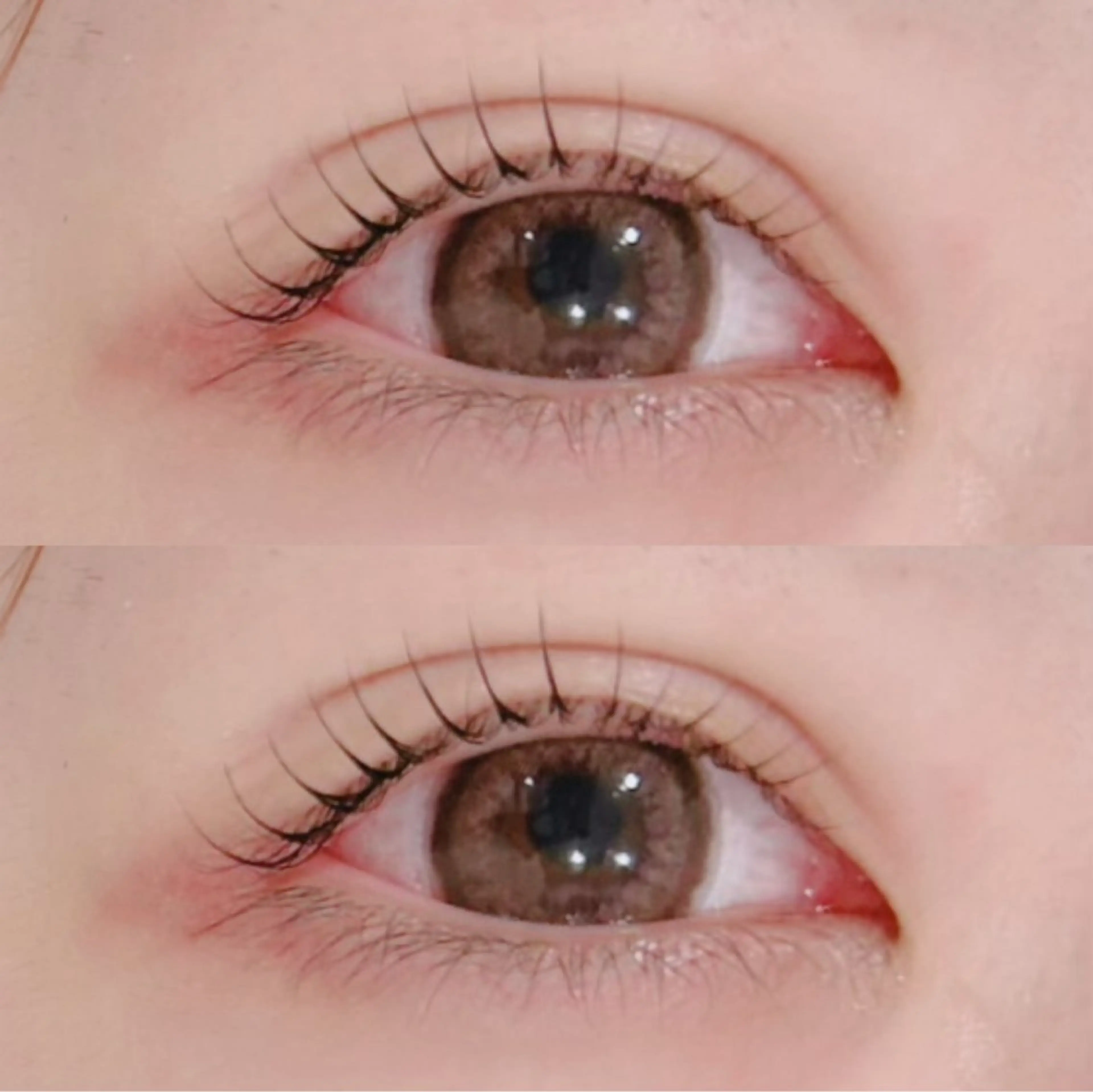 マツエク・マツパ 艶カラー/あいか💜 天王寺阿倍野のマツエク・マツパデザイン