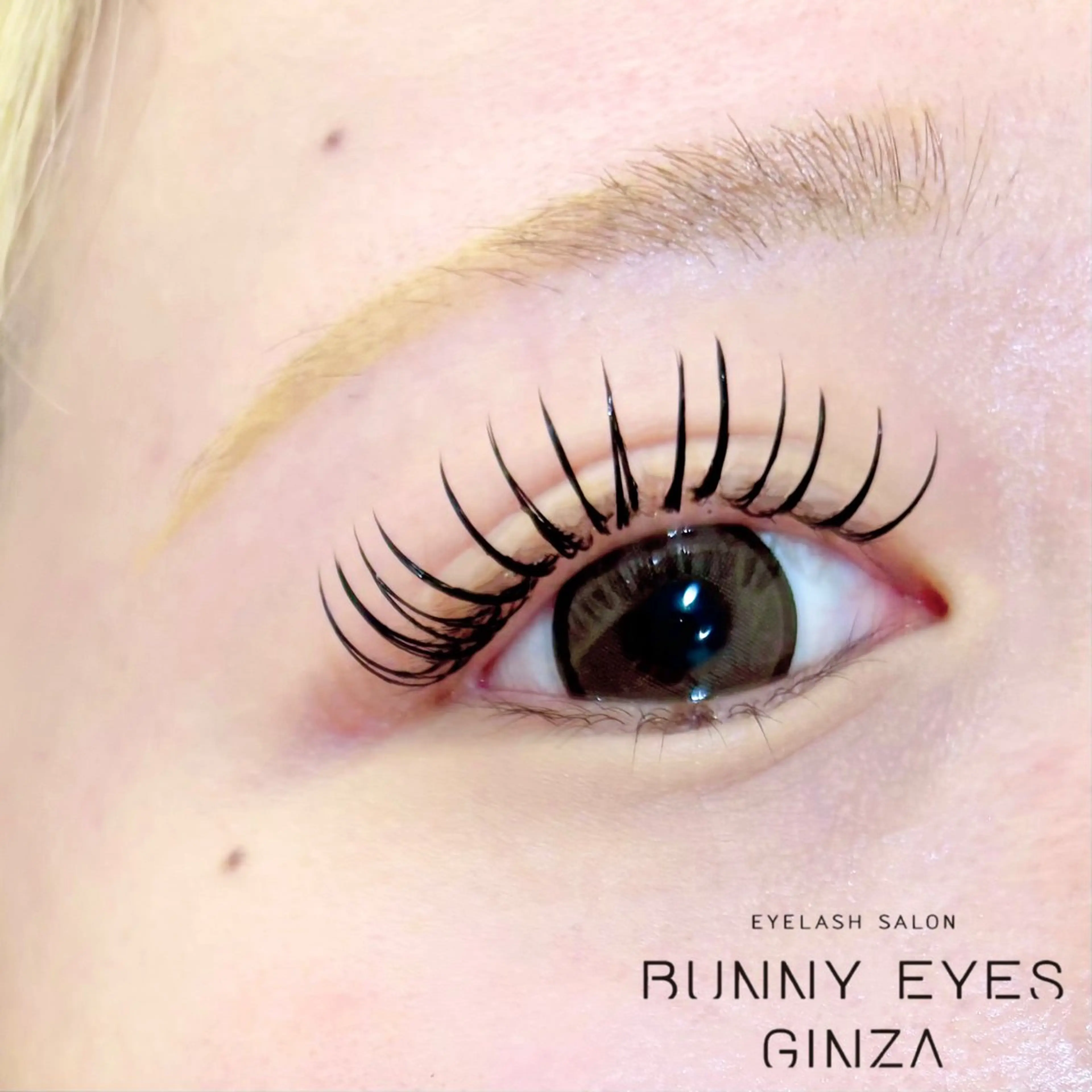 minimo限定❣️ダブルフラットラッシュ80束(160本)オフ込み❣️の写真