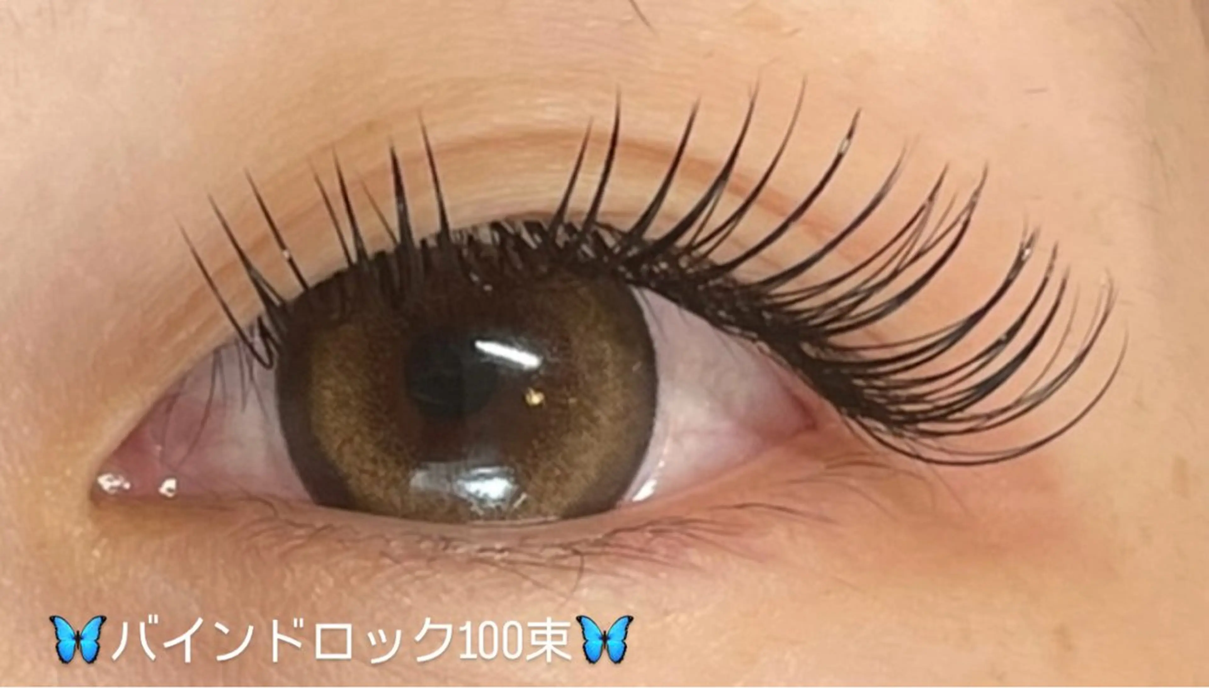 マツエク・マツパ Butterfly 平塚店　中島のマツエク・マツパデザイン