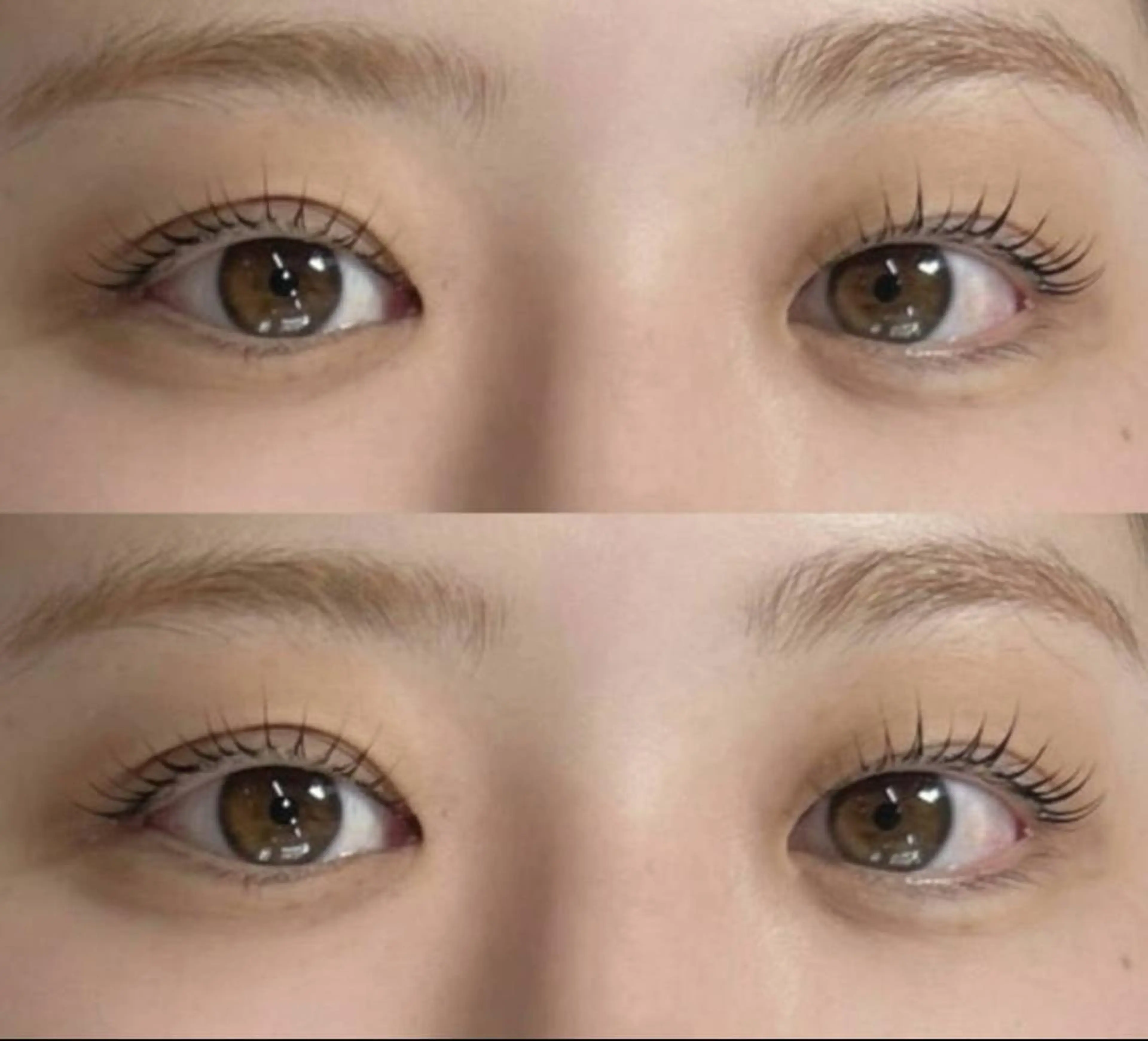 ⚠️急募!!明日!!新宿御苑前店!!《4月15日(水)10時・16時スタート限定》まつ毛パーマ☆練習モデル様（オフ不可）の写真