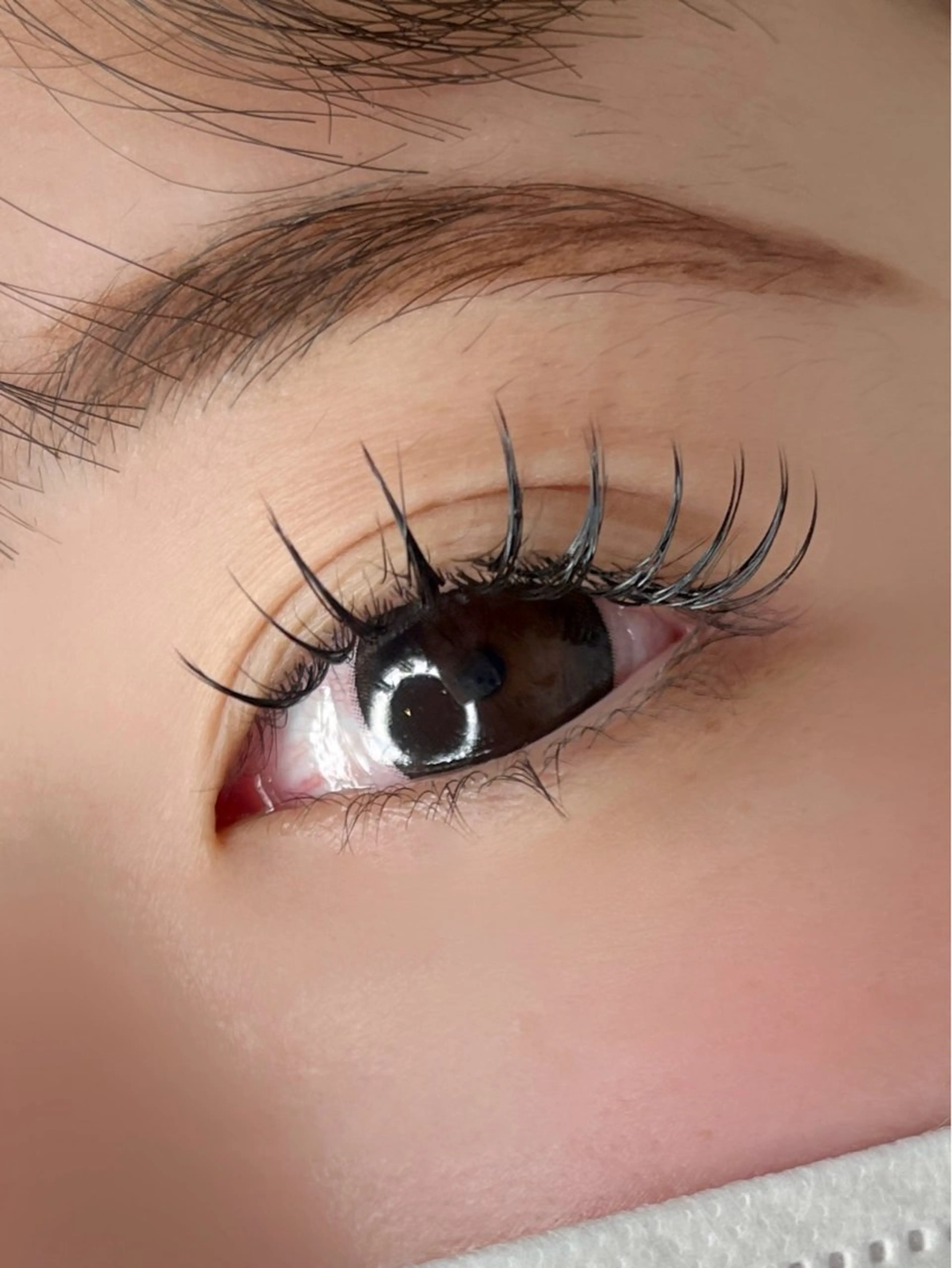 マツエク・マツパ マツエク ハロウ/ momoka🤍のマツエク・マツパデザイン