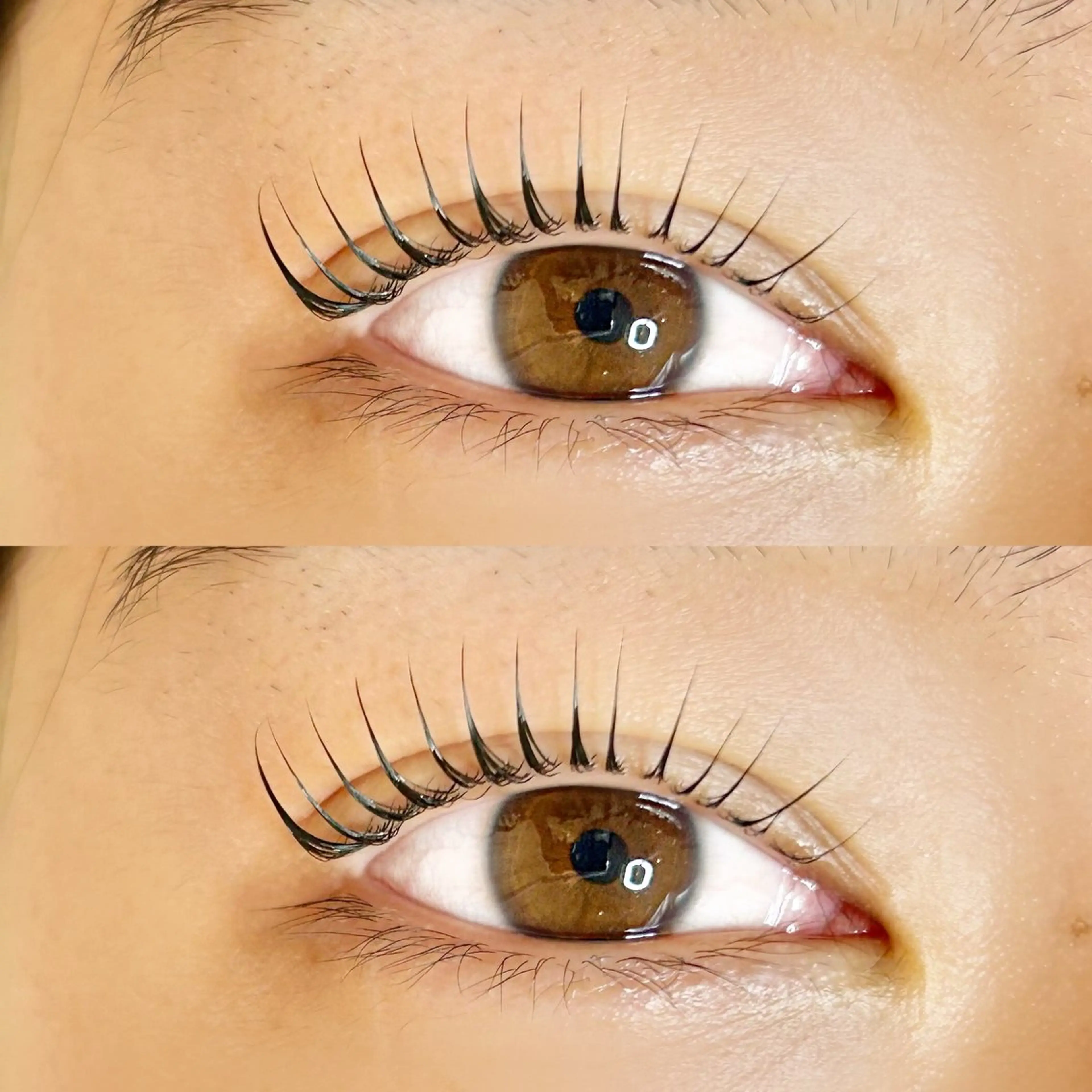 マツエク・マツパ Roy's lash ♡　AYAのマツエク・マツパデザイン