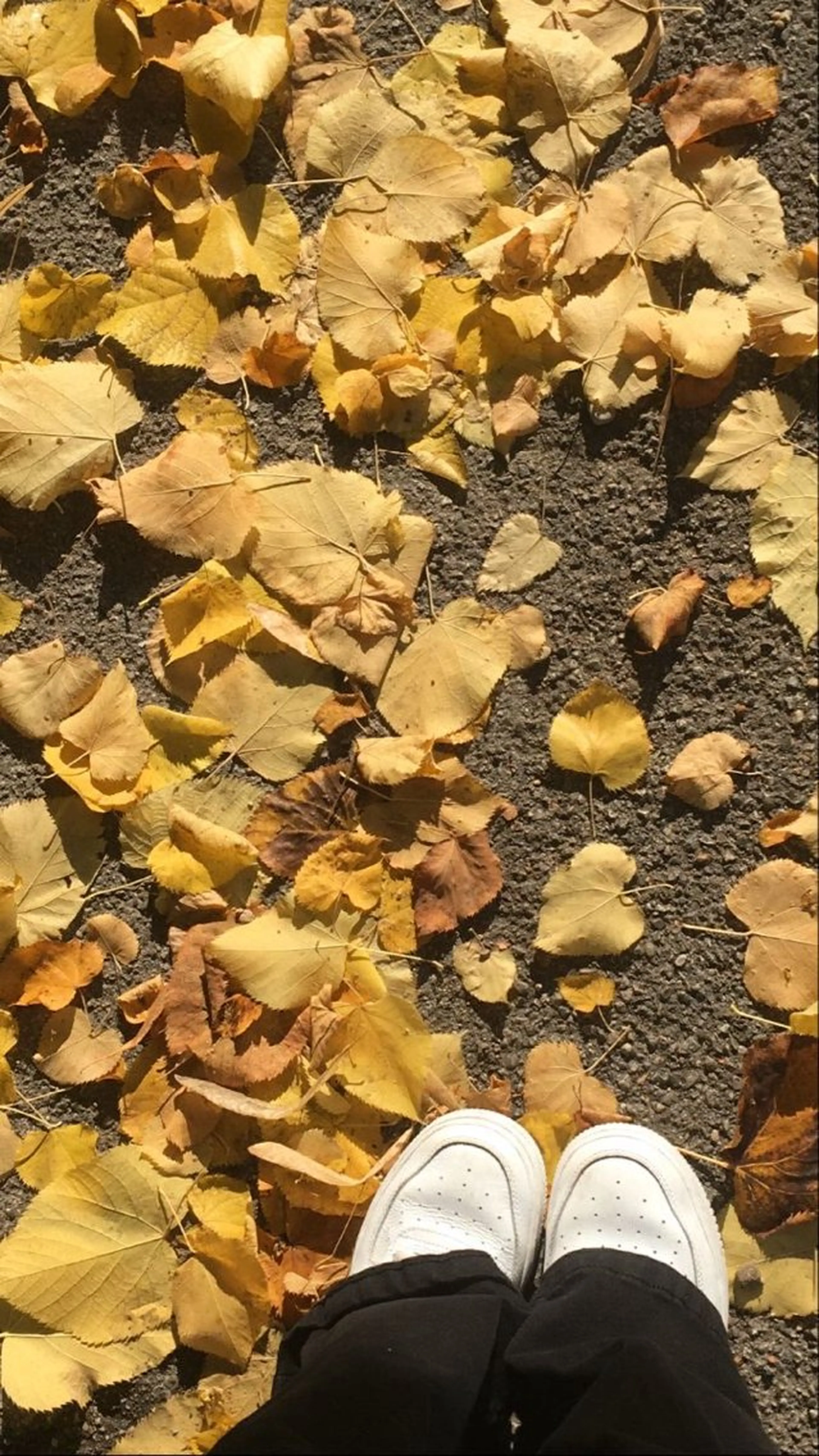 ネイル atelier design Amiのネイルデザイン