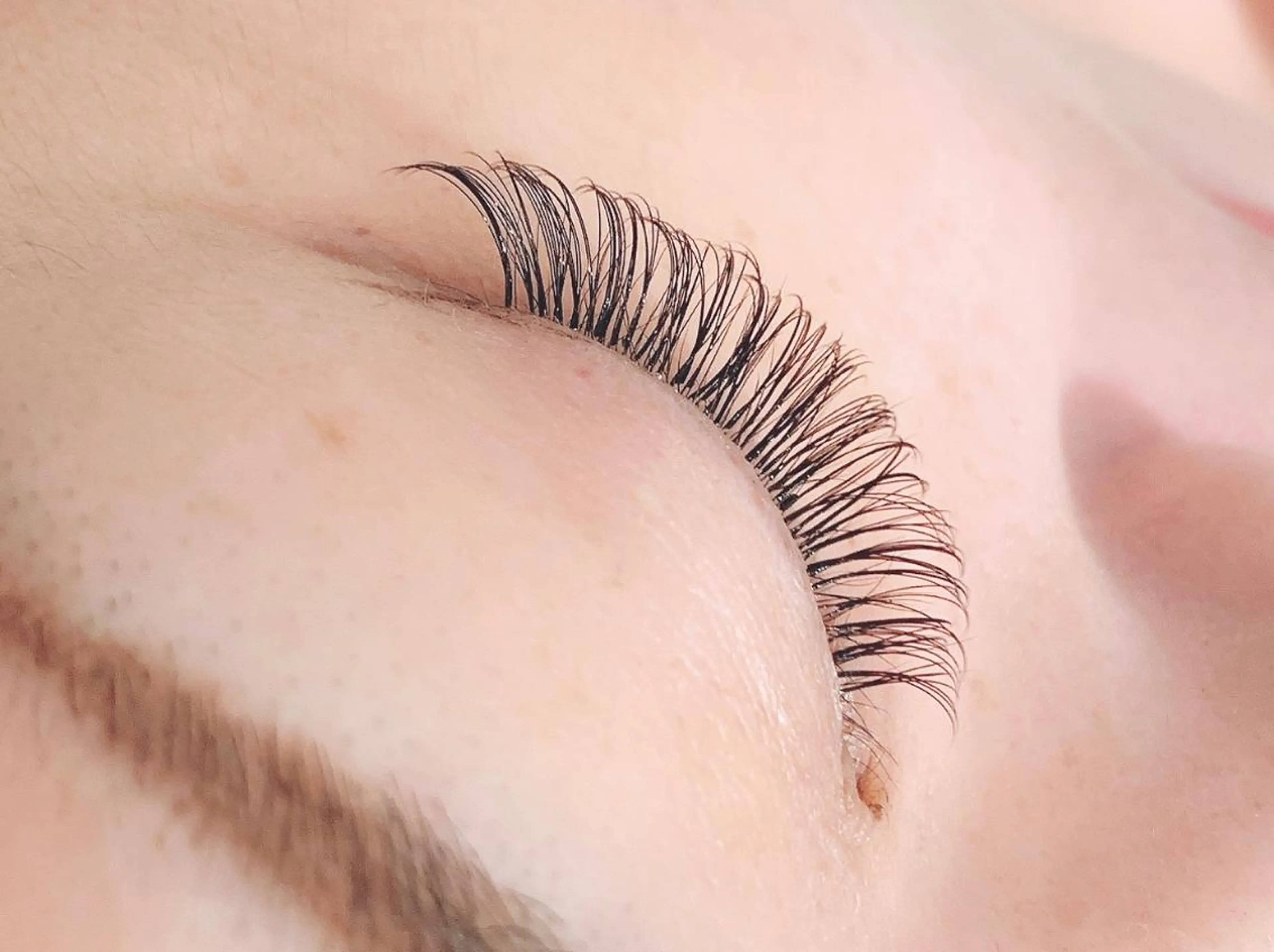 3Dエクステ【1時間付け放題】50束保証★¥4500の写真