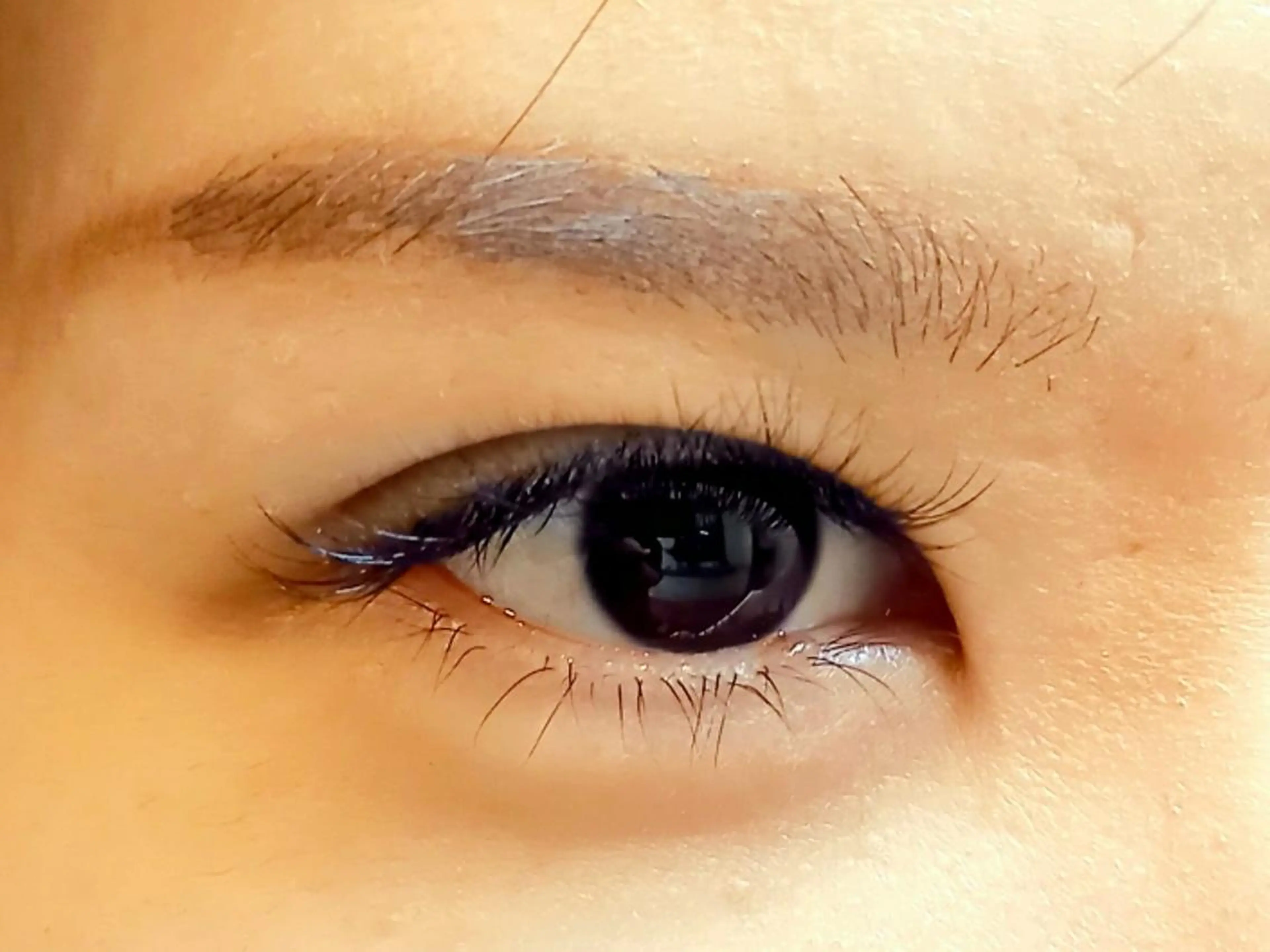 🍀ボリュームラッシュ 100束の写真