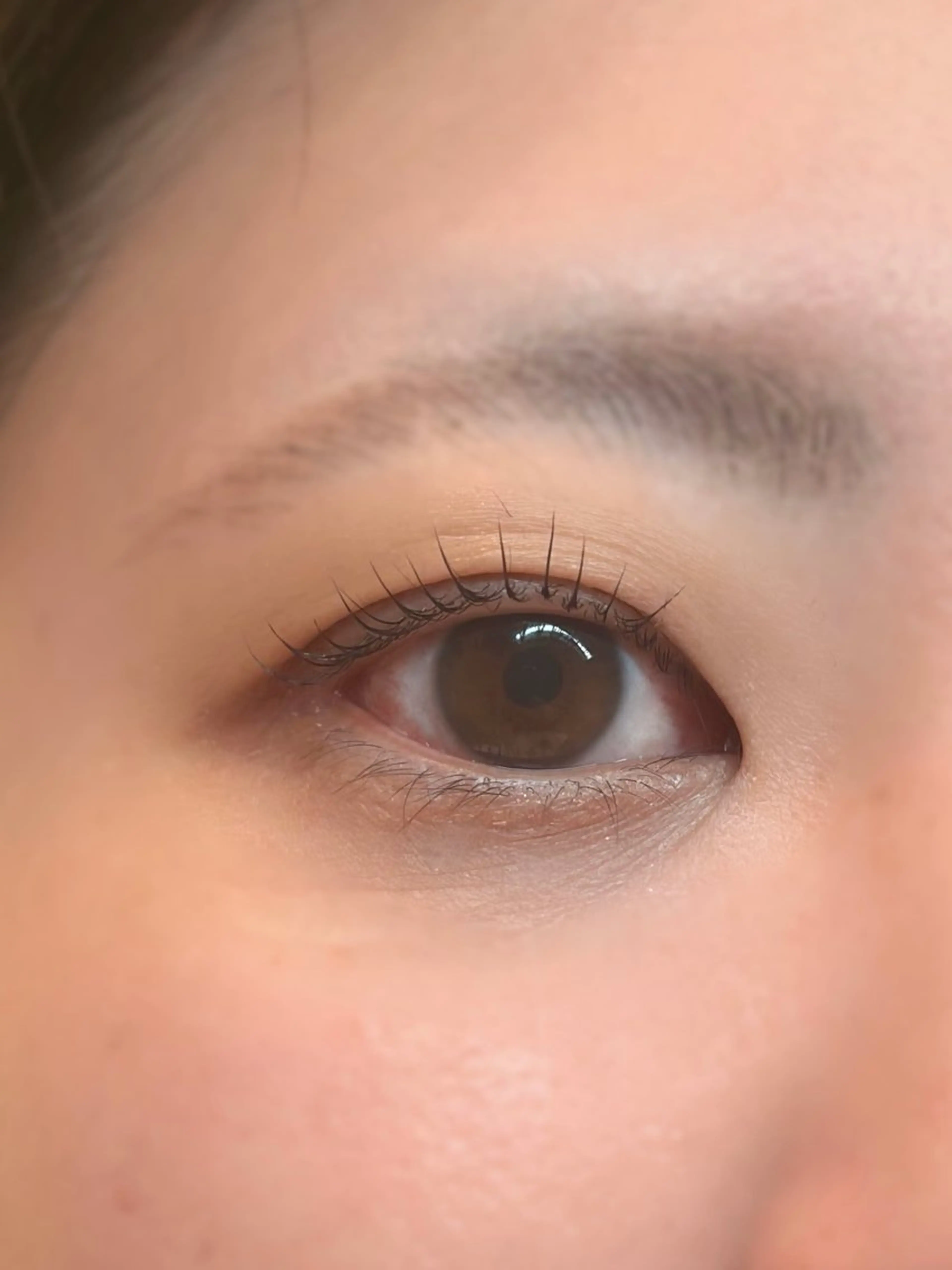 <次世代ダメージレスまつ毛パーマ上>まつげパーマ+ティントコーティング仕上げ込みの写真