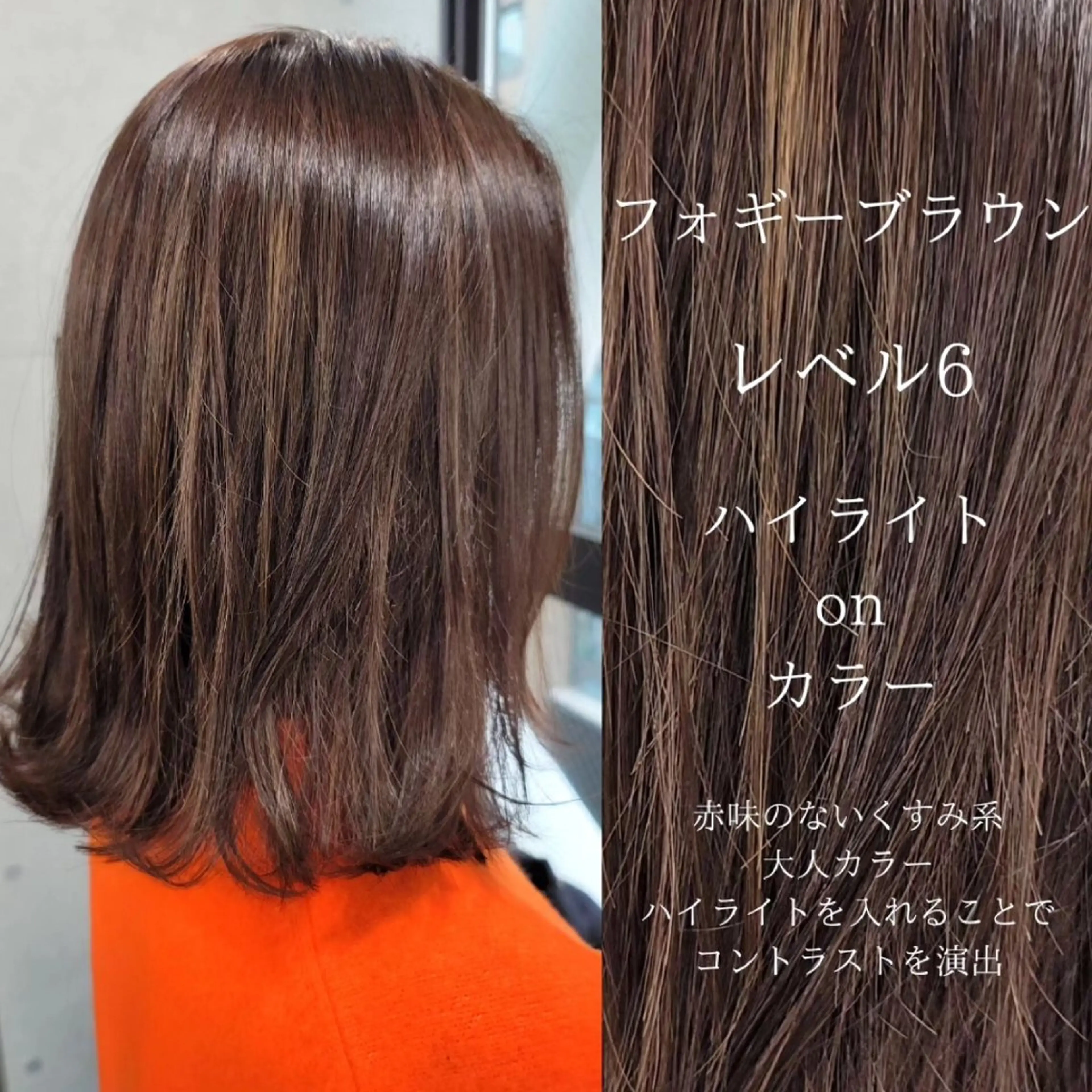 セミロング カラー カット ヘアカラー ❇️安達 優心❇️ レイヤー/艶髪特化のヘアスタイル