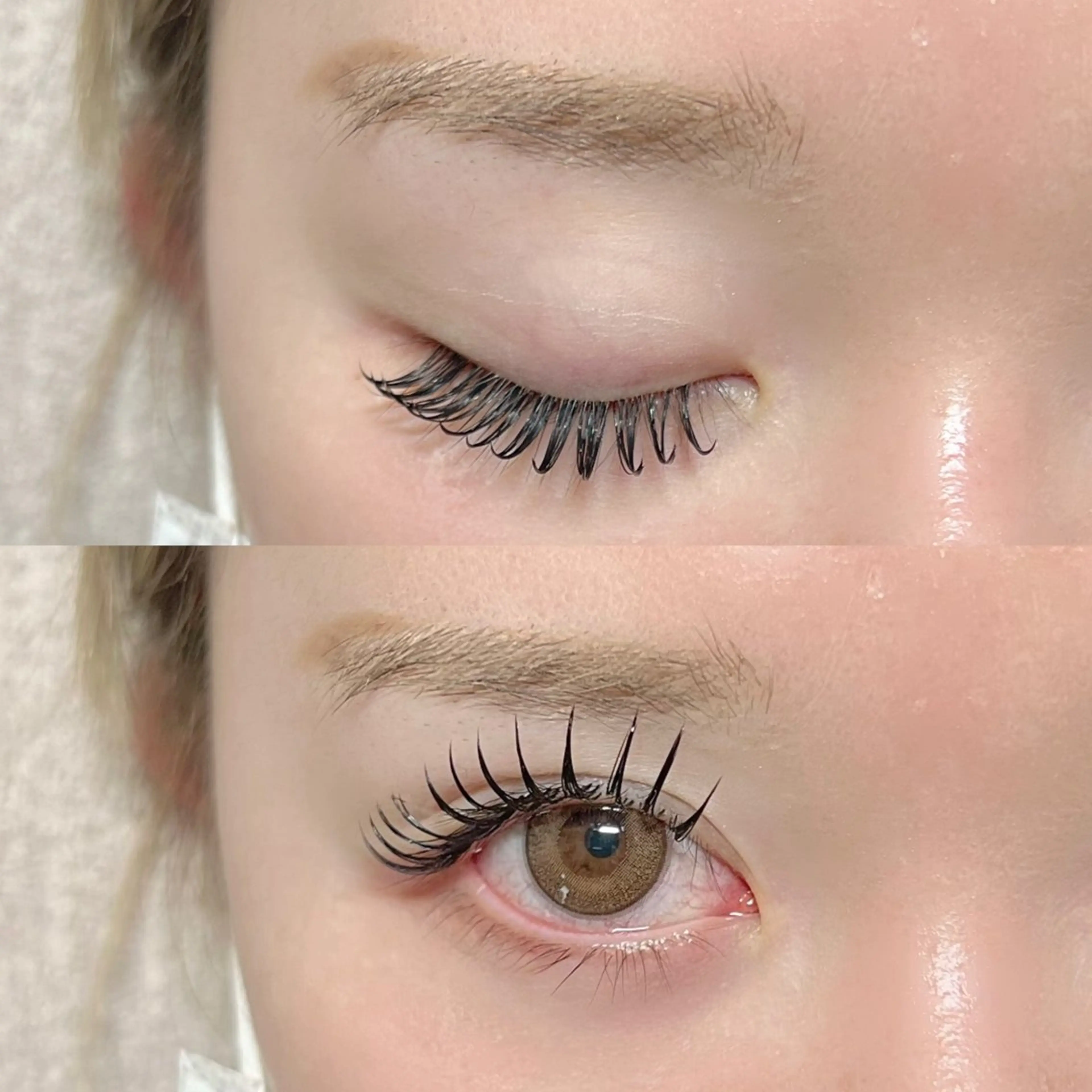 マツエク・マツパ Lily (リリー) 🔰下坂のマツエク・マツパデザイン